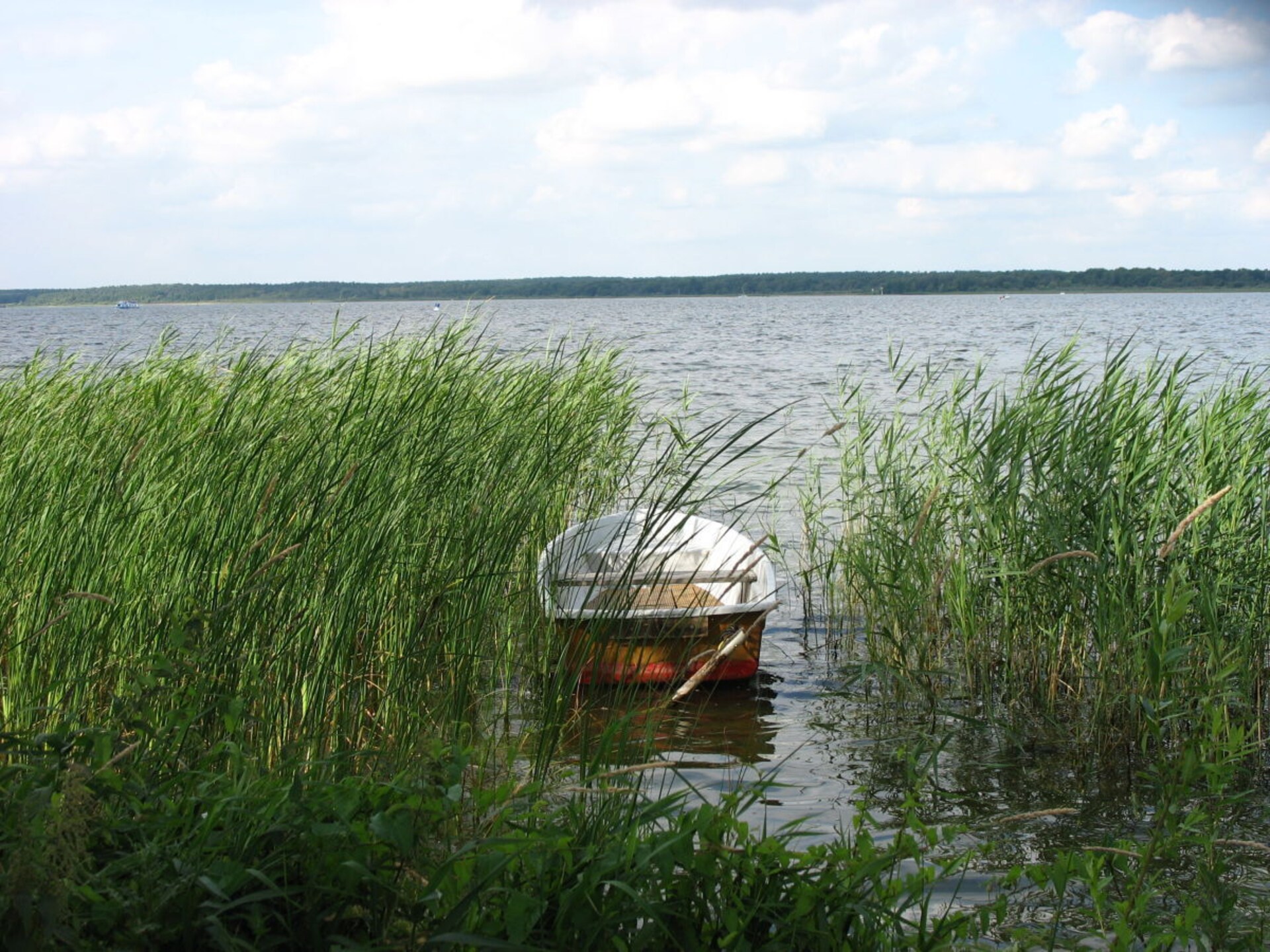 Rustiek vakantiehuis met natuurthema in Göhren-Lebbin - foto 19