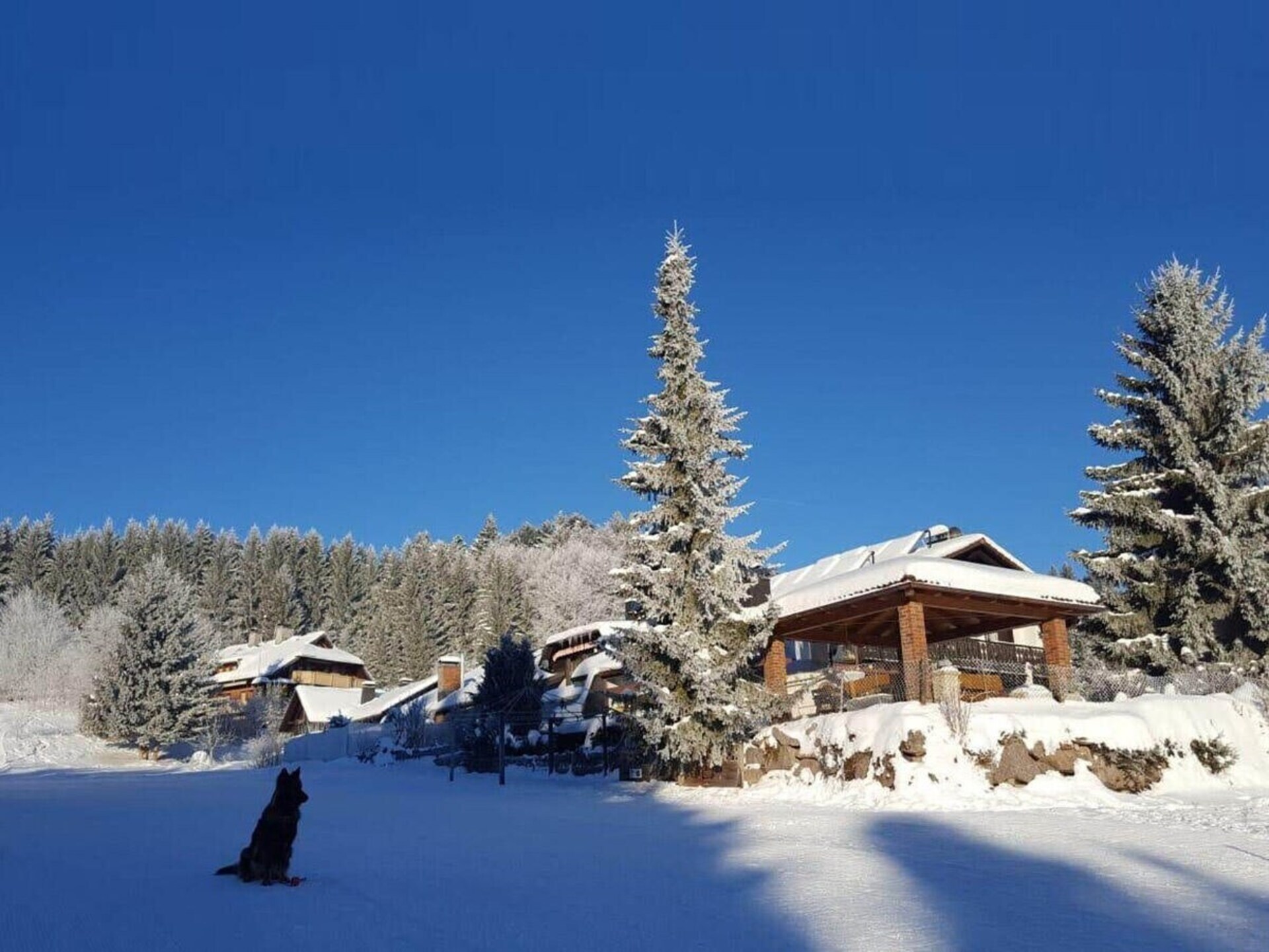 Knus vakantiehuis in Herrischried, 200m van de skilift, voor 5 personen - foto 4