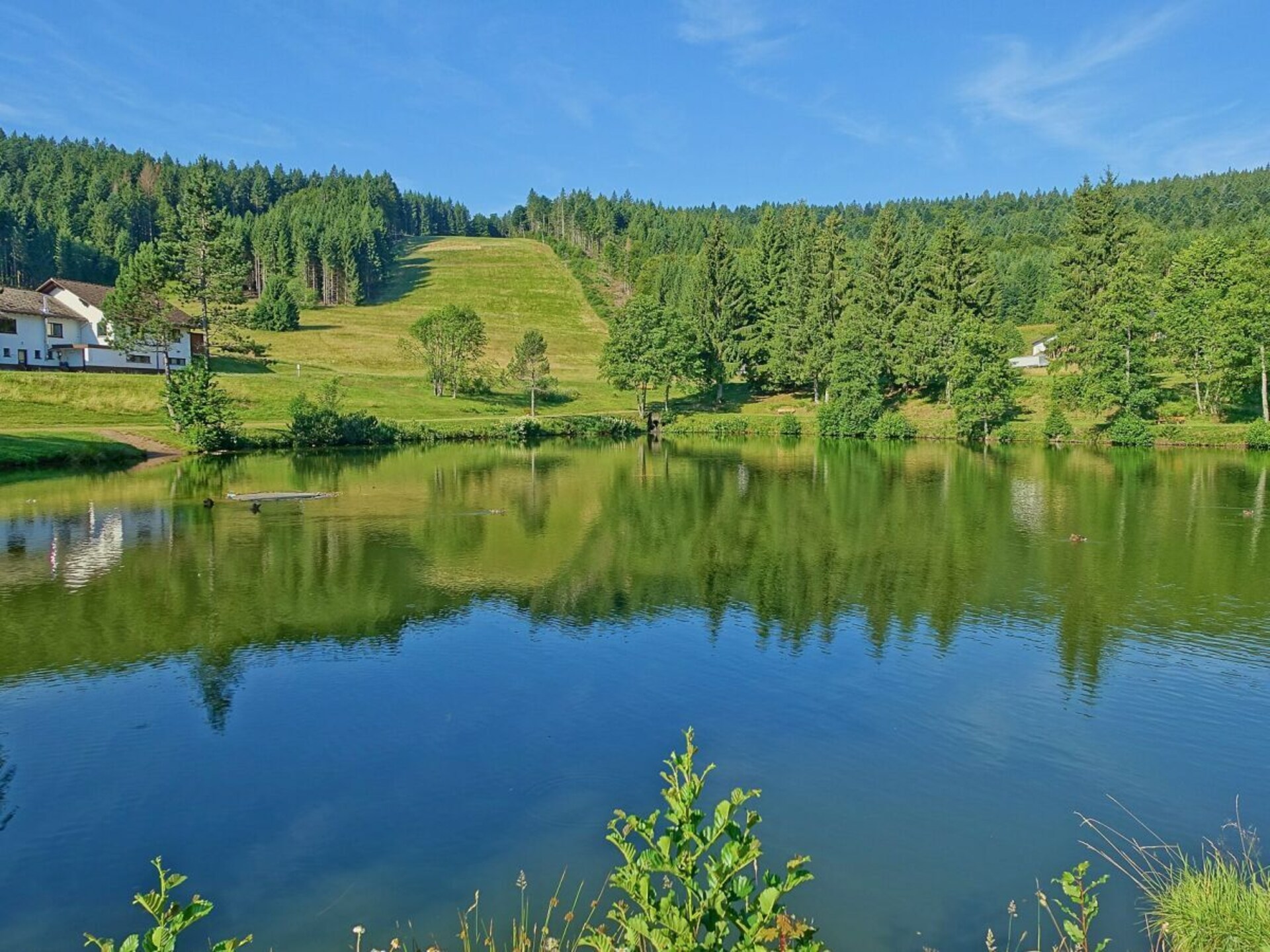 Knus vakantiehuis in Herrischried, 200m van de skilift, voor 5 personen - foto 14