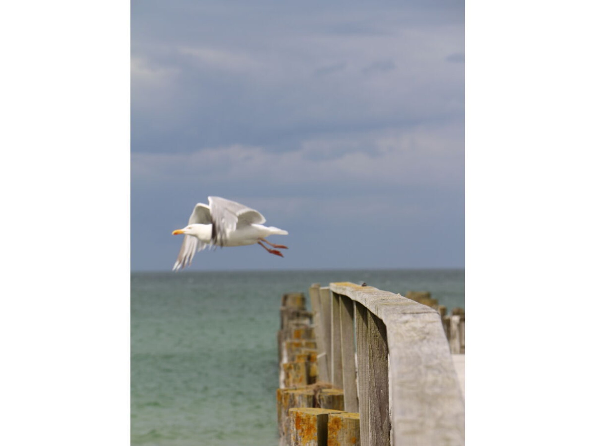 Maritiem appartement met balkon op 600m van strand in Zingst - foto 29