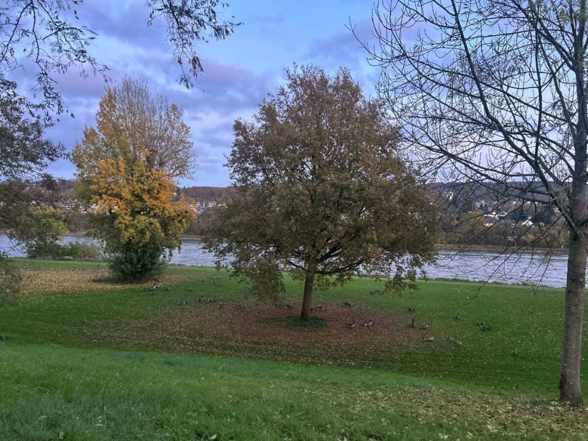Comfortabel gerenoveerd vakantiehuis in Koblenz voor 4 personen - foto 3