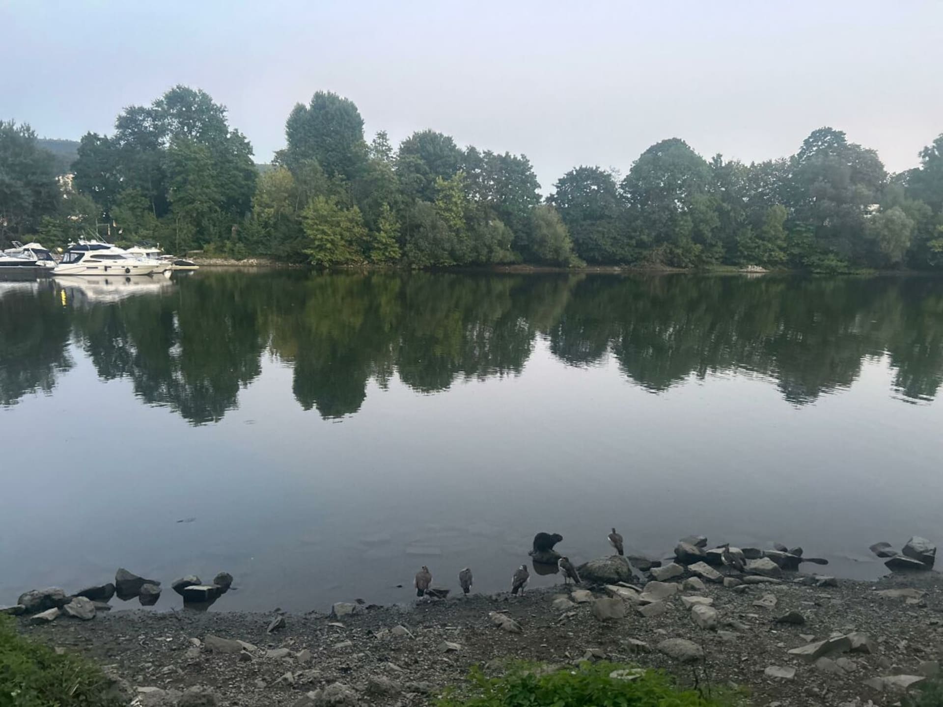 Comfortabel gerenoveerd vakantiehuis in Koblenz voor 4 personen - foto 29