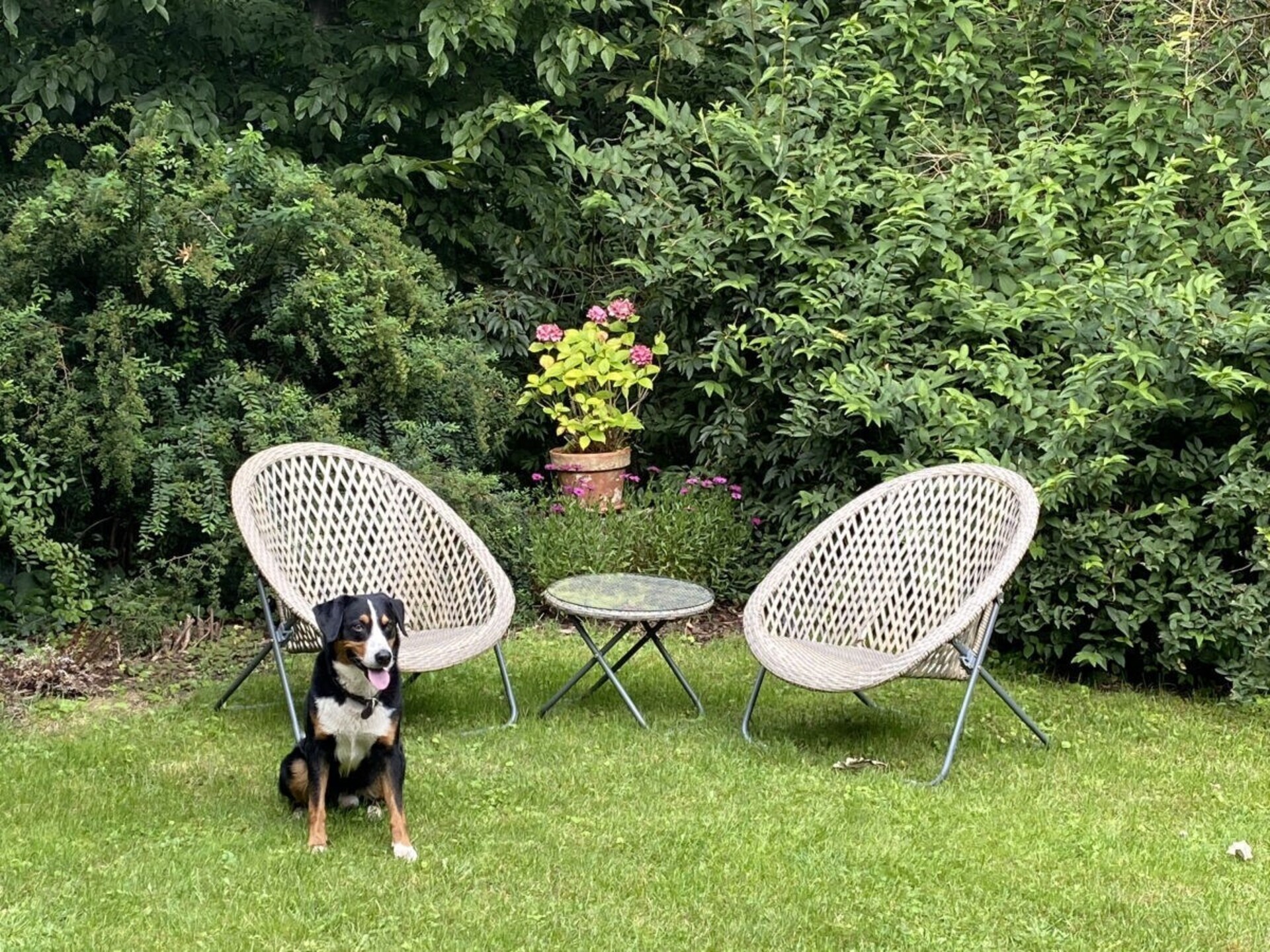 Romantisch vakantiehuis met tuin en tegelkachel in Farchau - foto 6