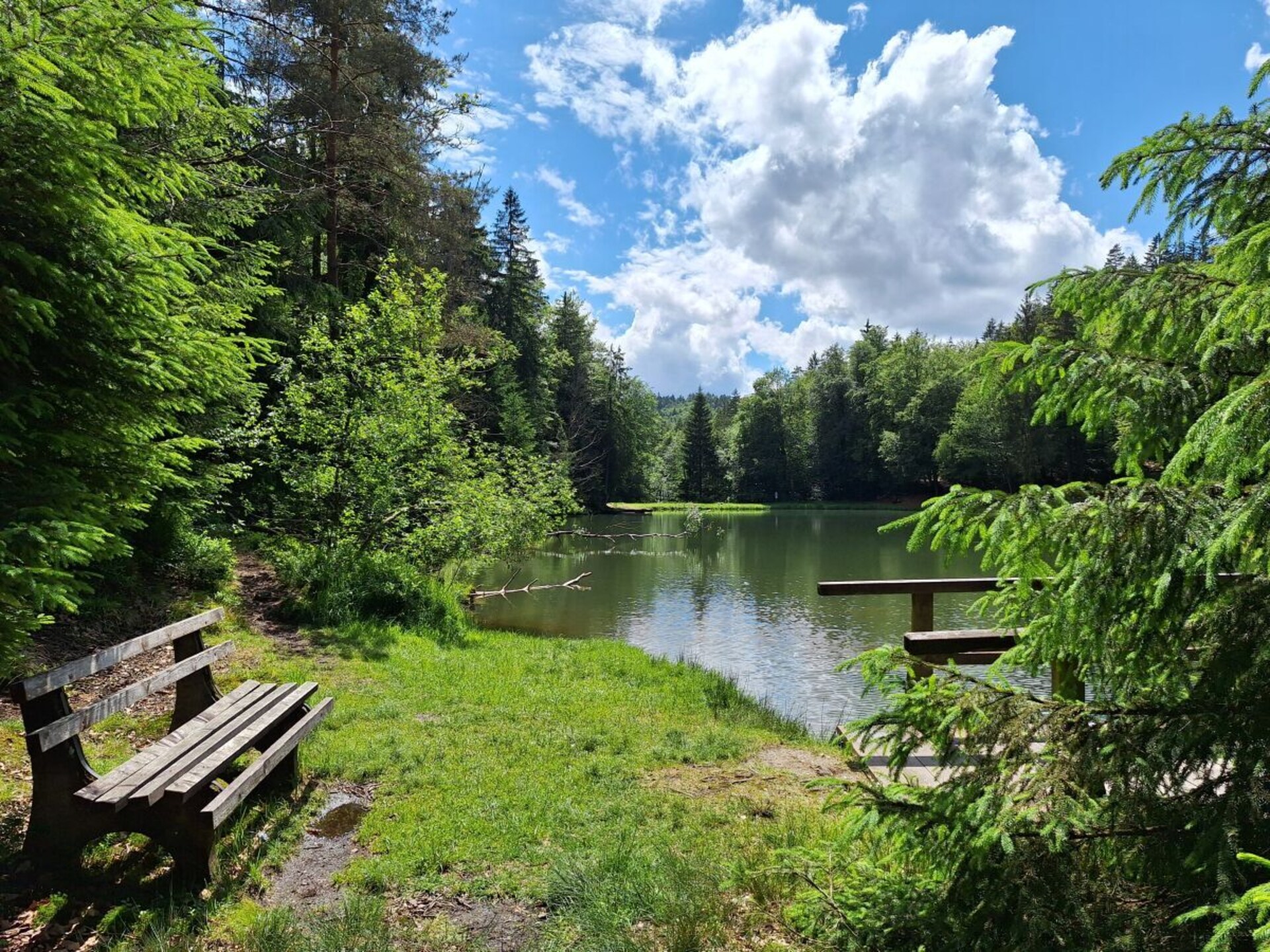 Gerenoveerd vakantiehuis aan de bosrand nabij skilift - foto 25
