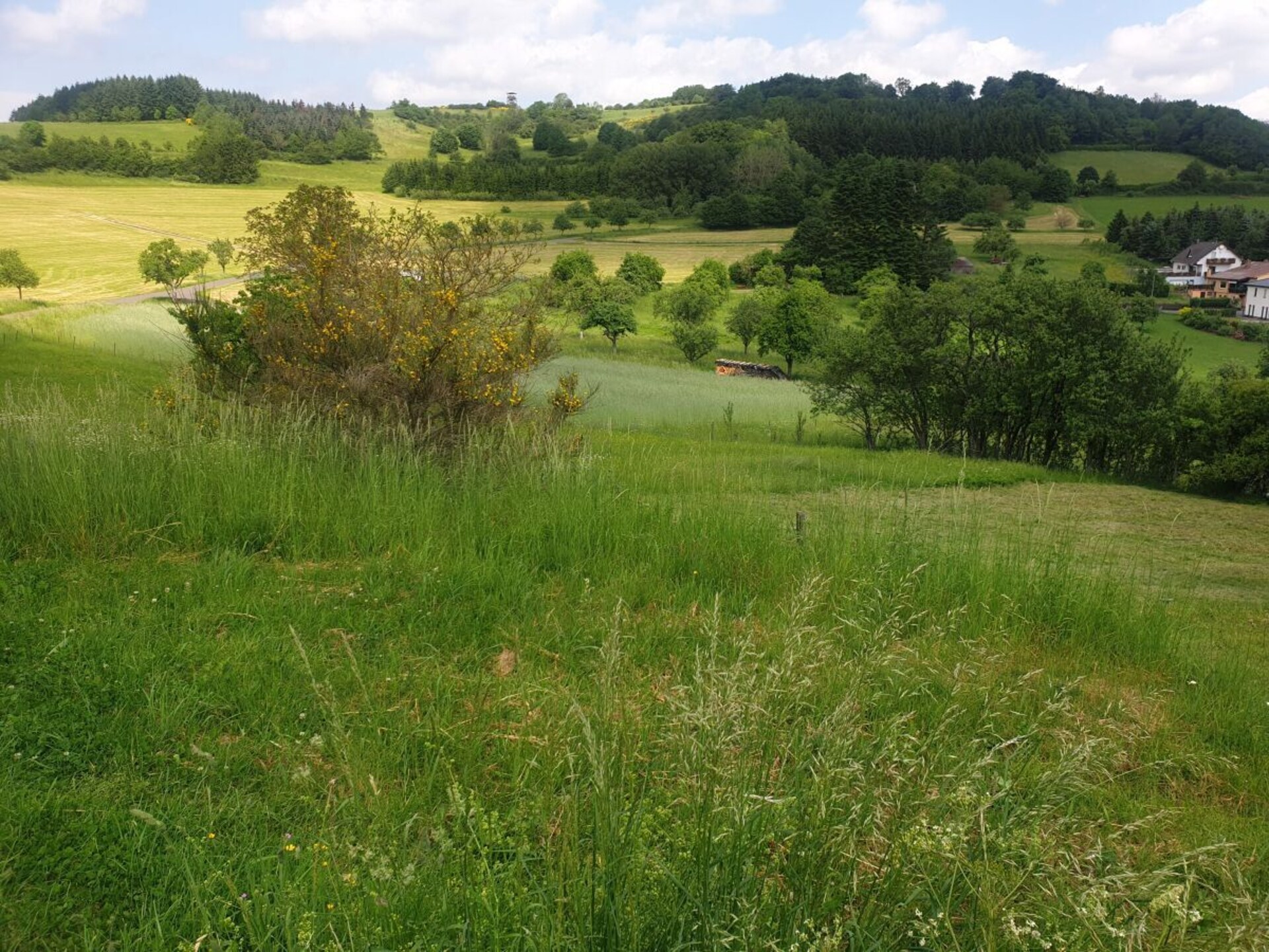 Sfeervolle gerenoveerde boerderij met panoramisch uitzicht in Üdersdorf - foto 16