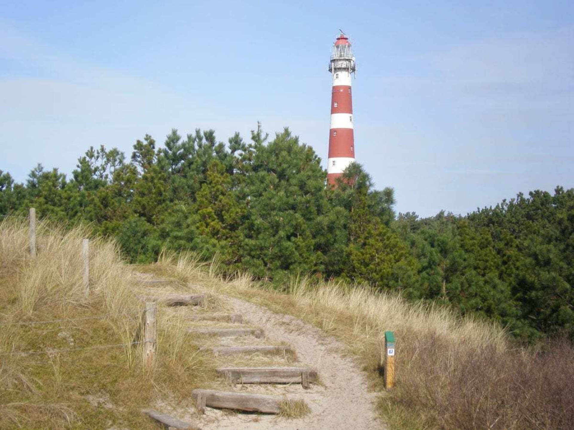 Licht appartement op Ameland met weids uitzicht tot aan het Nesserwoud - foto 16