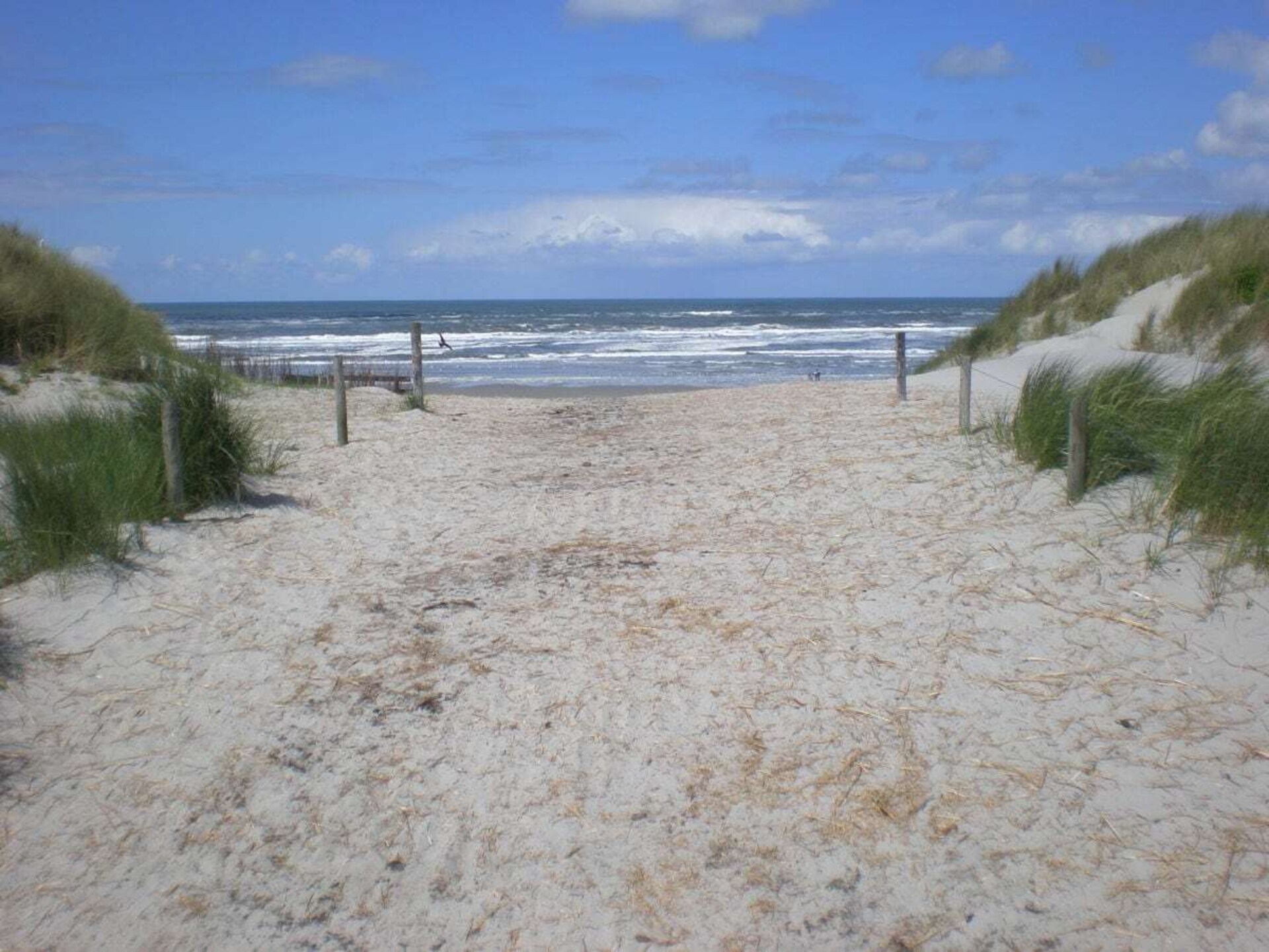 Licht appartement op Ameland met weids uitzicht tot aan het Nesserwoud - foto 17