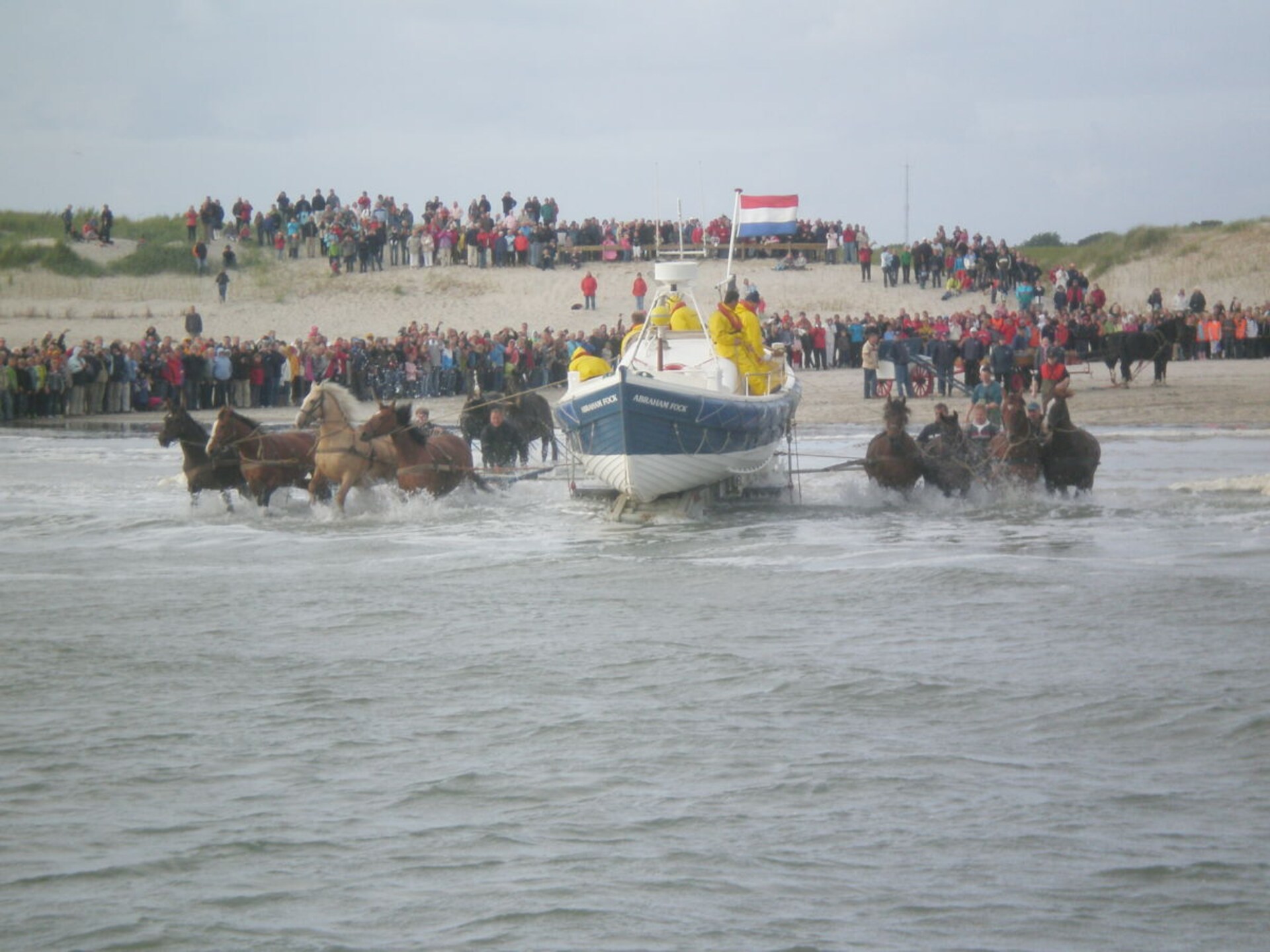 Licht appartement op Ameland met weids uitzicht tot aan het Nesserwoud - foto 18
