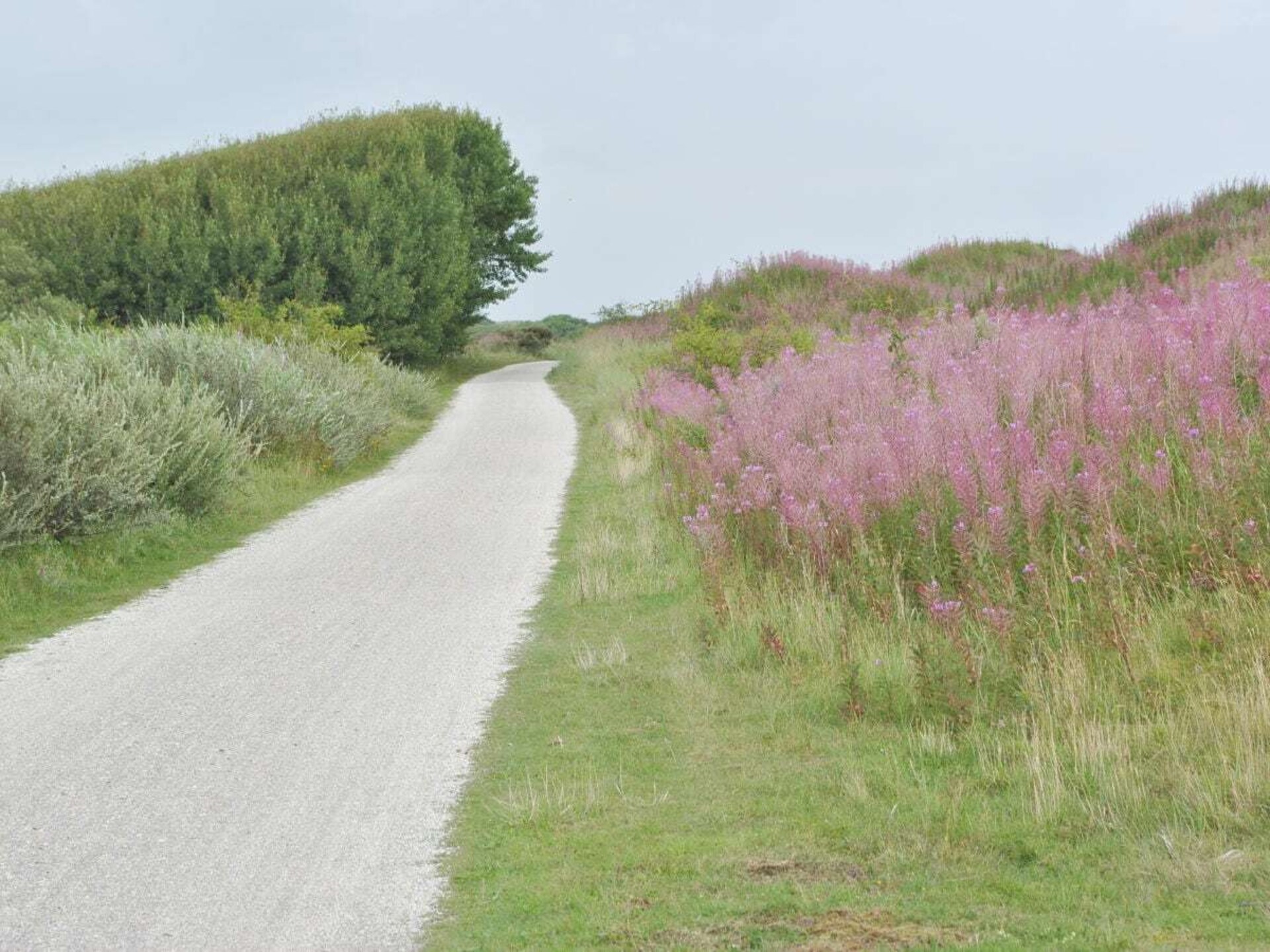Licht appartement op Ameland met weids uitzicht tot aan het Nesserwoud - foto 20