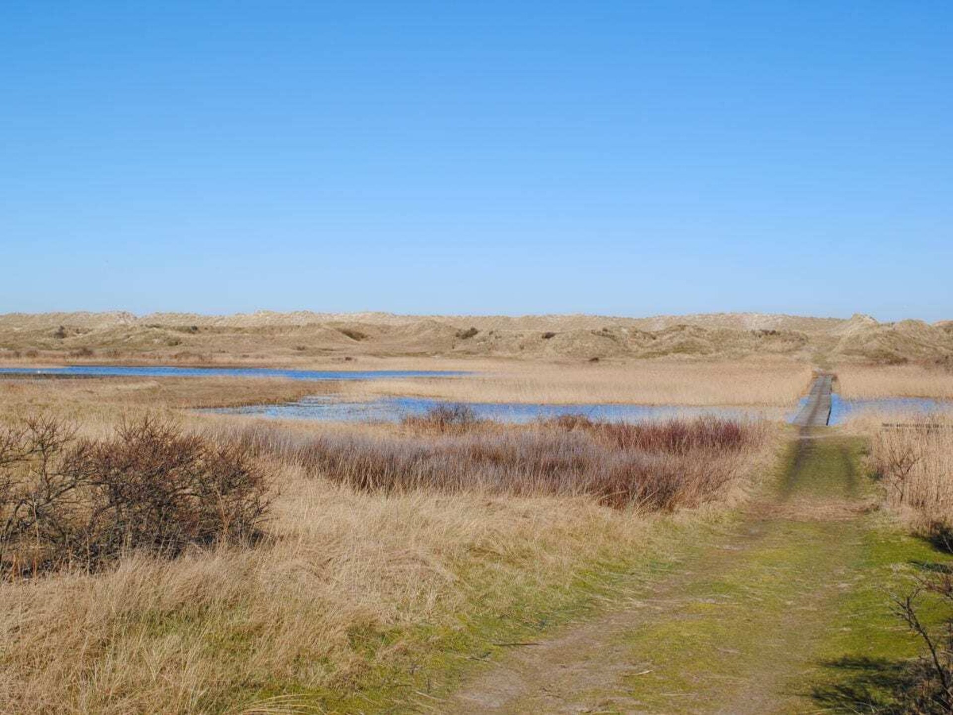 Licht appartement op Ameland met weids uitzicht tot aan het Nesserwoud - foto 22