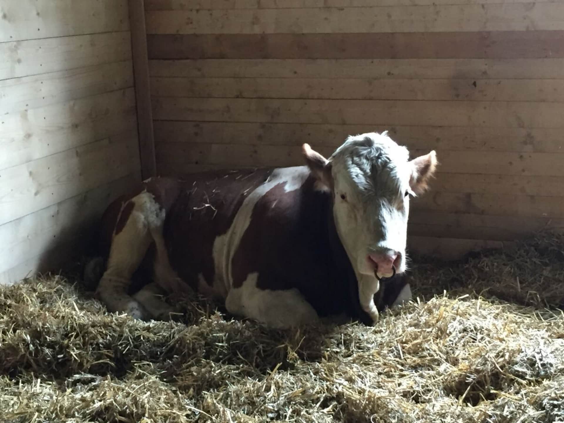 Centraal gelegen boerderij in Neukirchen b.Hl.Blut voor 5 personen - foto 25