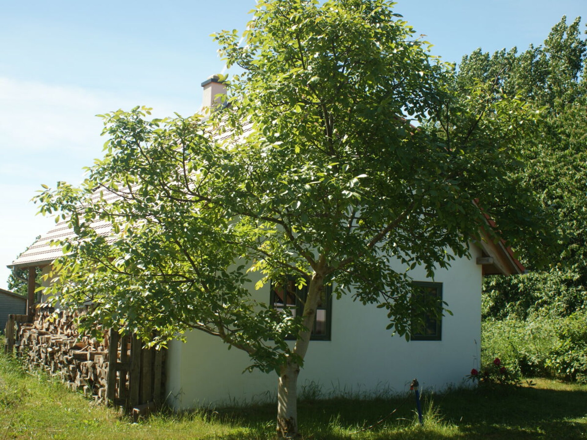 Duurzaam vakantiehuis met sauna en vrij uitzicht over de Schoritzer Wiek - foto 4