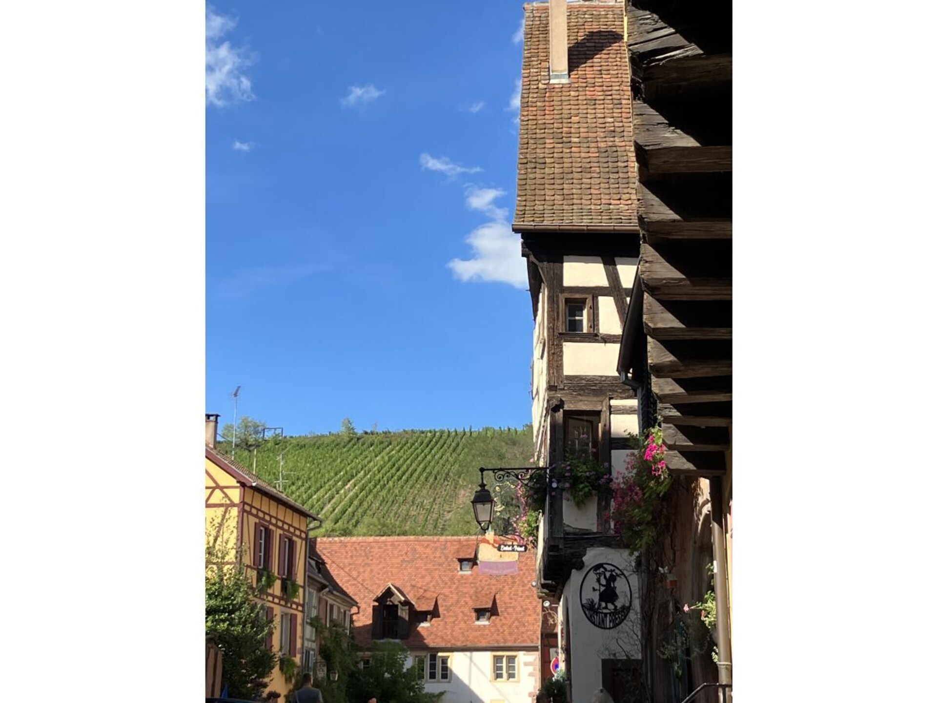 3-persoons vakantiehuis in het centrum van Endingen am Kaiserstuhl - foto 31