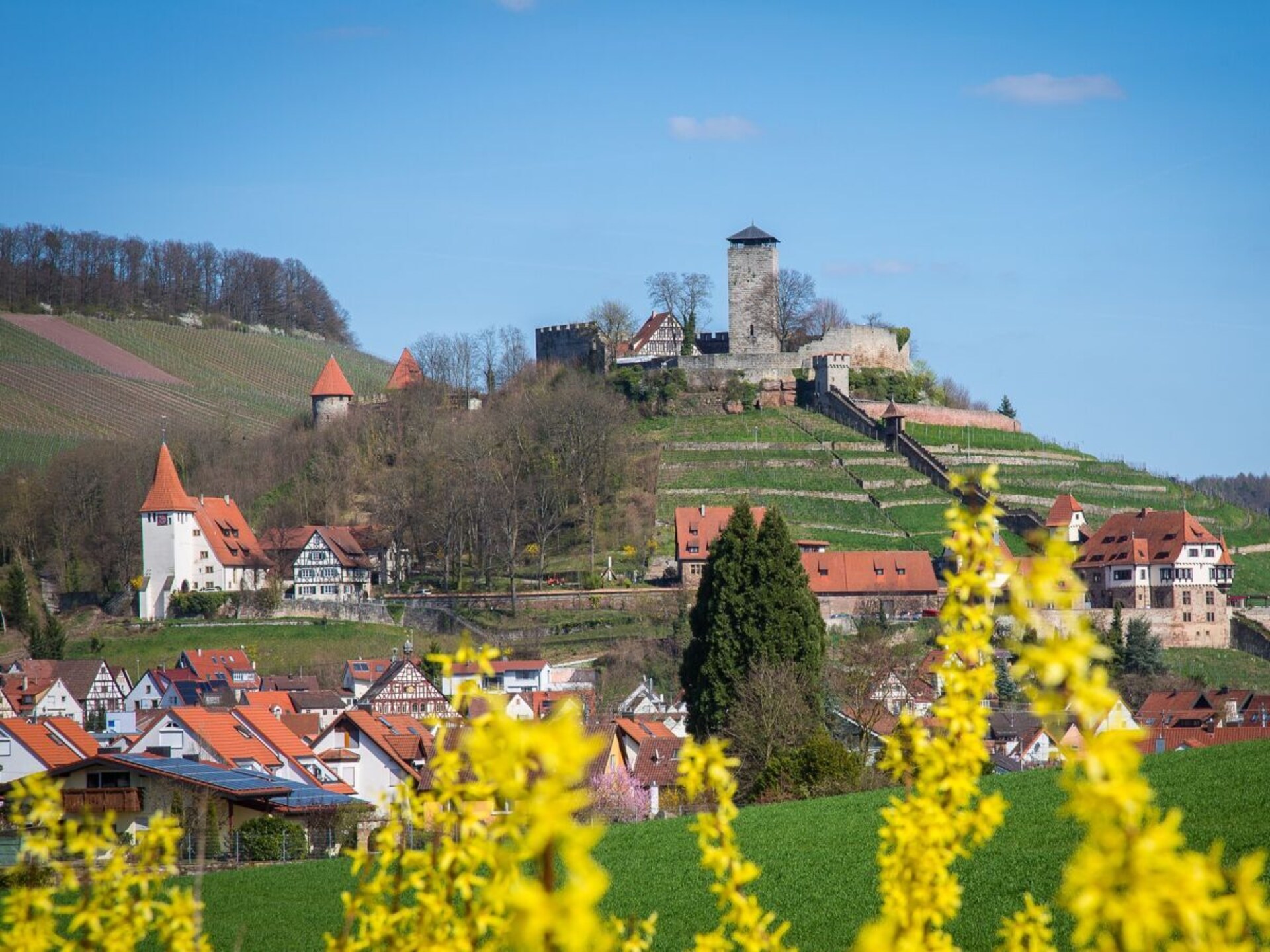 Luxe vakantiehuis op toplocatie in Bernkastel-Kues aan de Moezel - foto 41