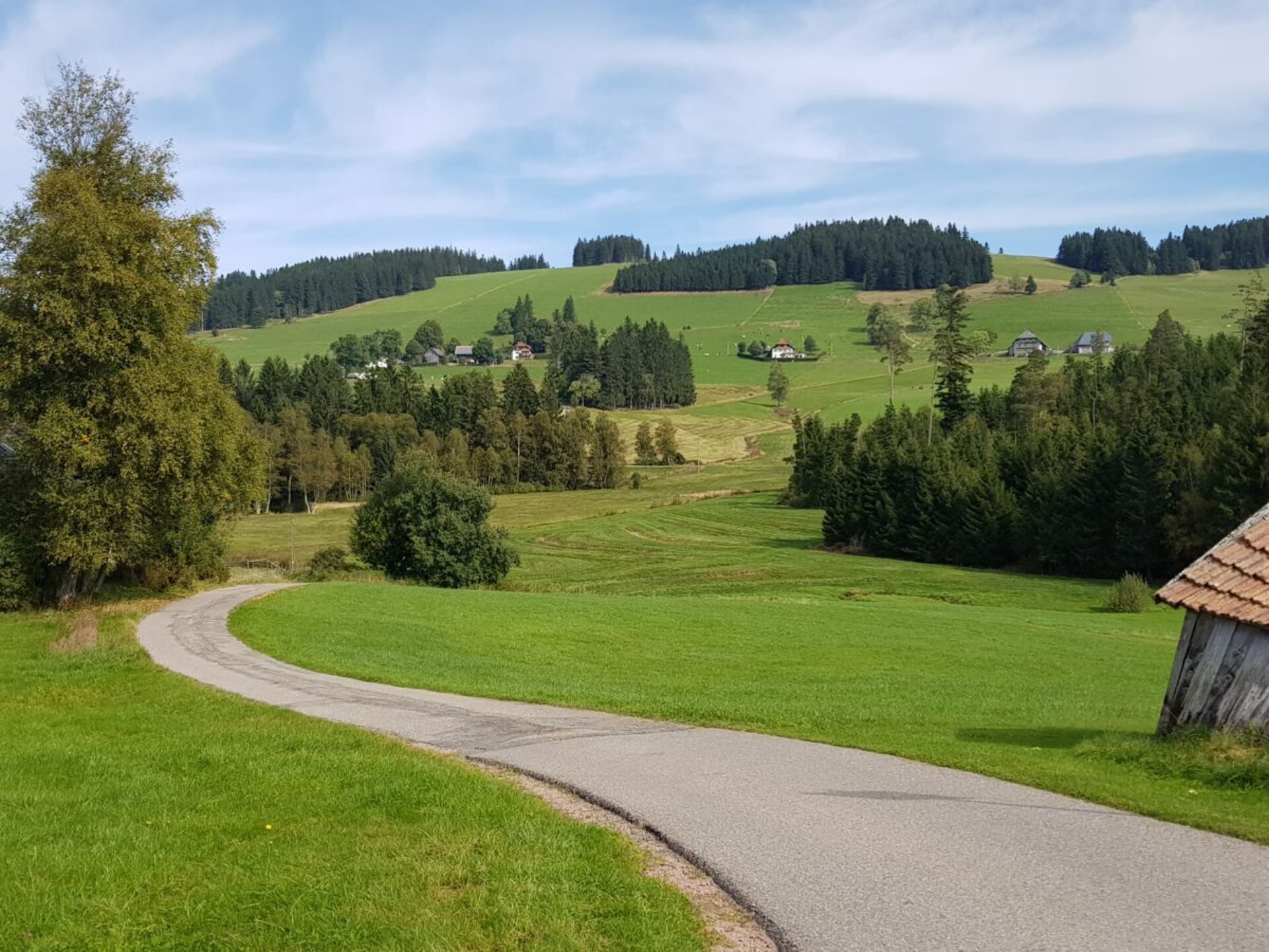 Rustiek appartement aan de bosrand in Friedenweiler met wellnessbadkamer - foto 37