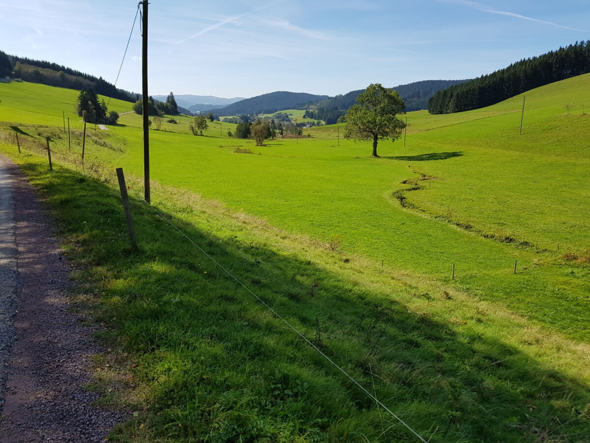 Rustiek appartement aan de bosrand in Friedenweiler met wellnessbadkamer - foto 40