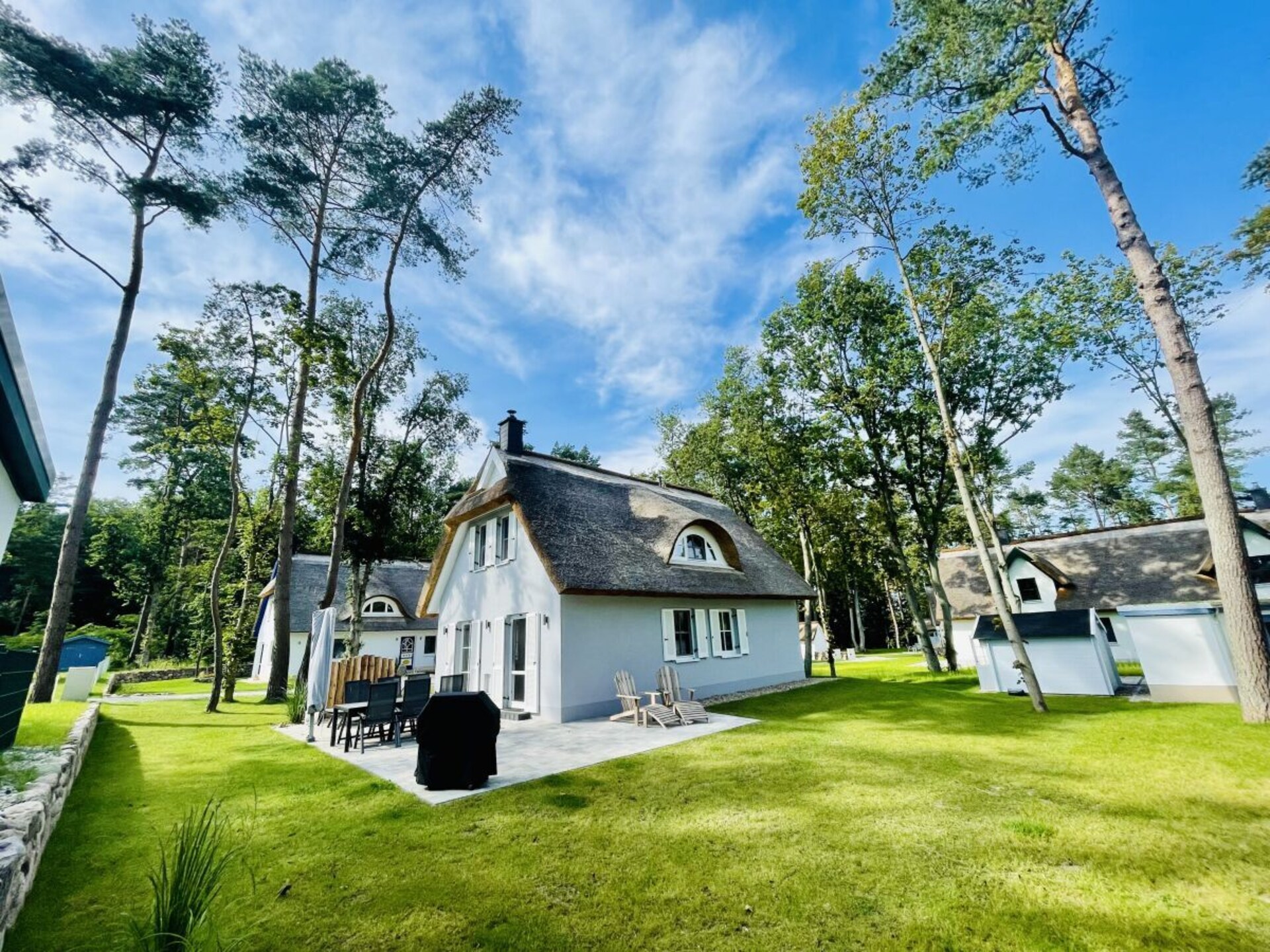 Nieuw rieten dak vakantiehuis voor 6 personen in Zirchow, dichtbij de Oostzee - foto 2