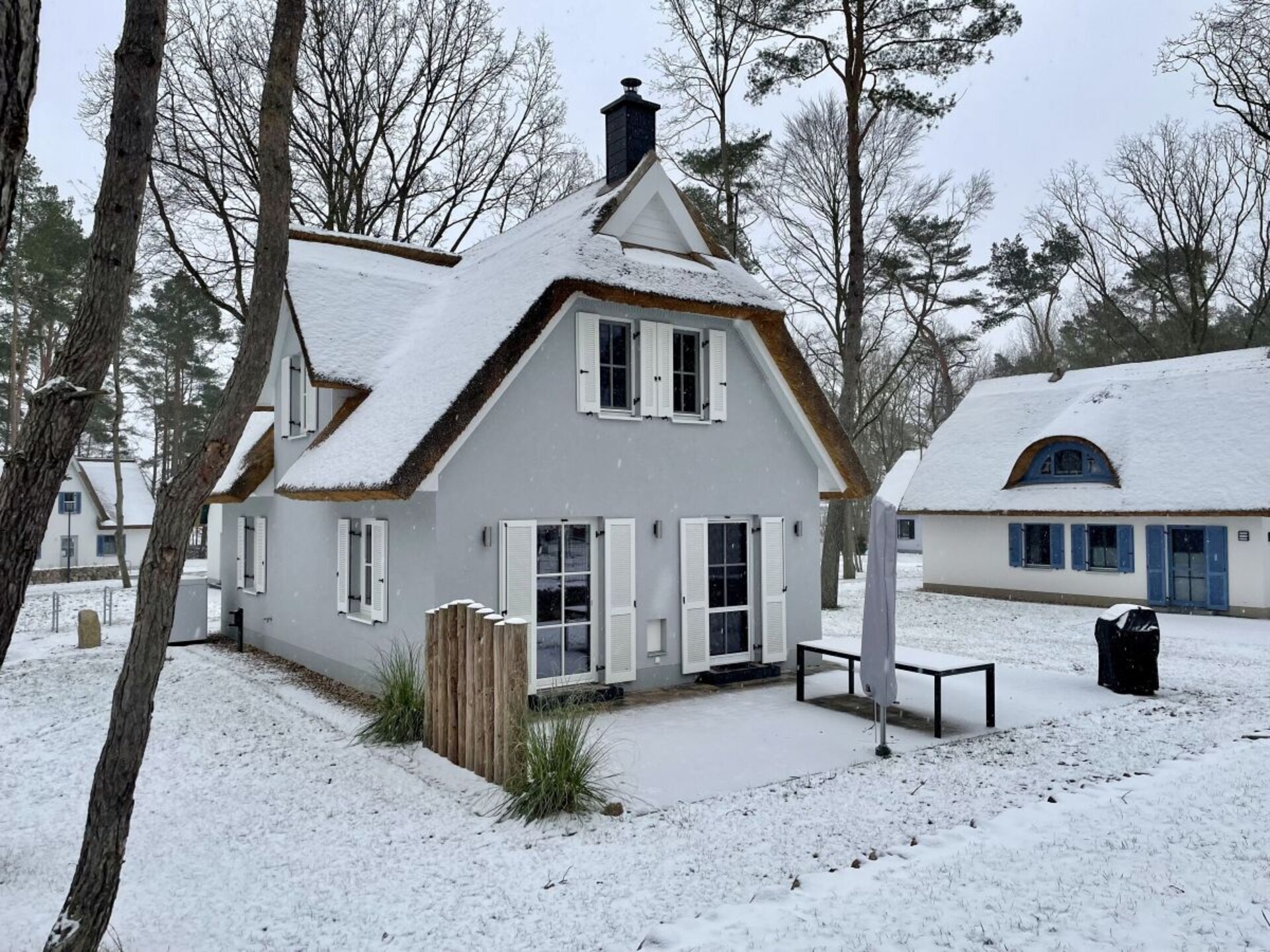 Nieuw rieten dak vakantiehuis voor 6 personen in Zirchow, dichtbij de Oostzee - foto 9
