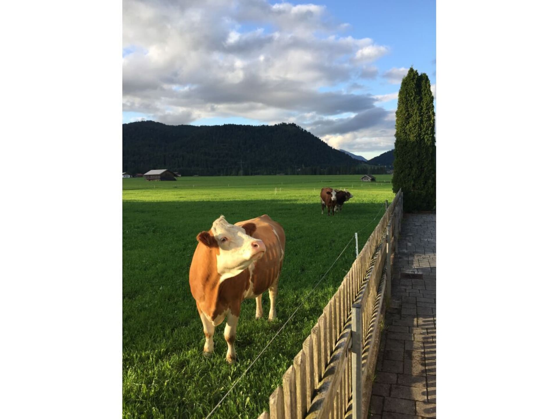 Centraal gelegen vakantiehuis in Krün voor 3 personen - foto 40