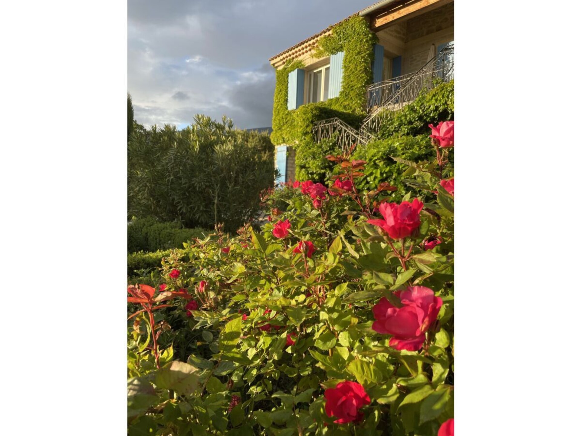 Sfeervol appartement met panoramisch uitzicht op de Mont Ventoux - foto 4