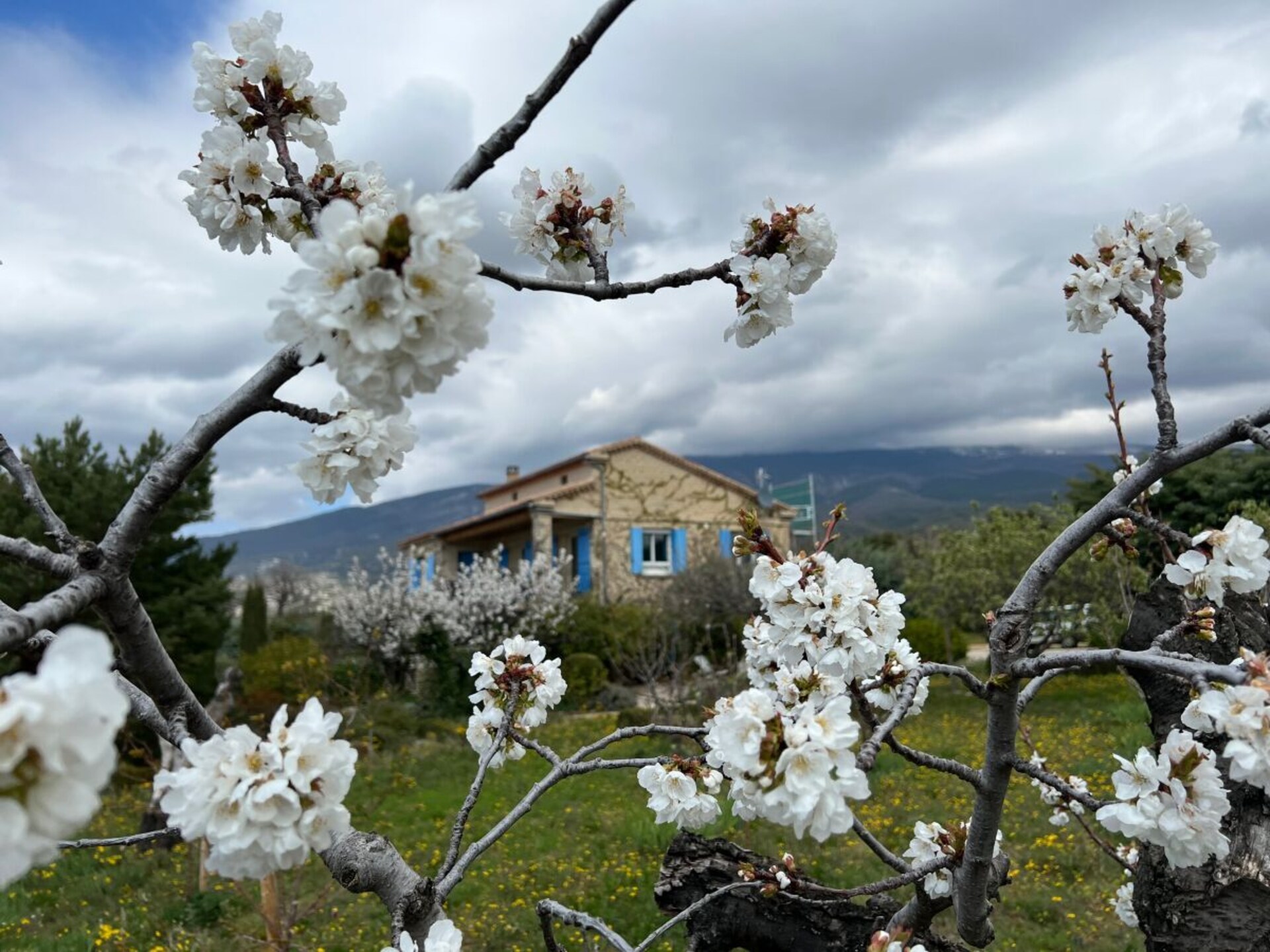 Sfeervol appartement met panoramisch uitzicht op de Mont Ventoux - foto 18