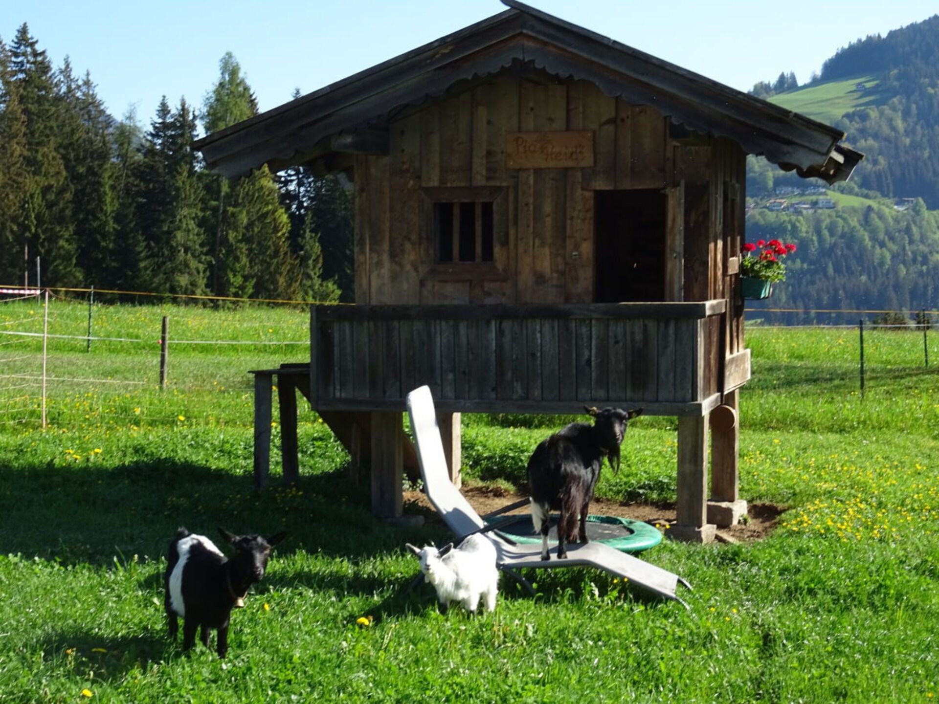 Sfeervolle boerderij in Hopfgarten voor 6 personen - foto 40