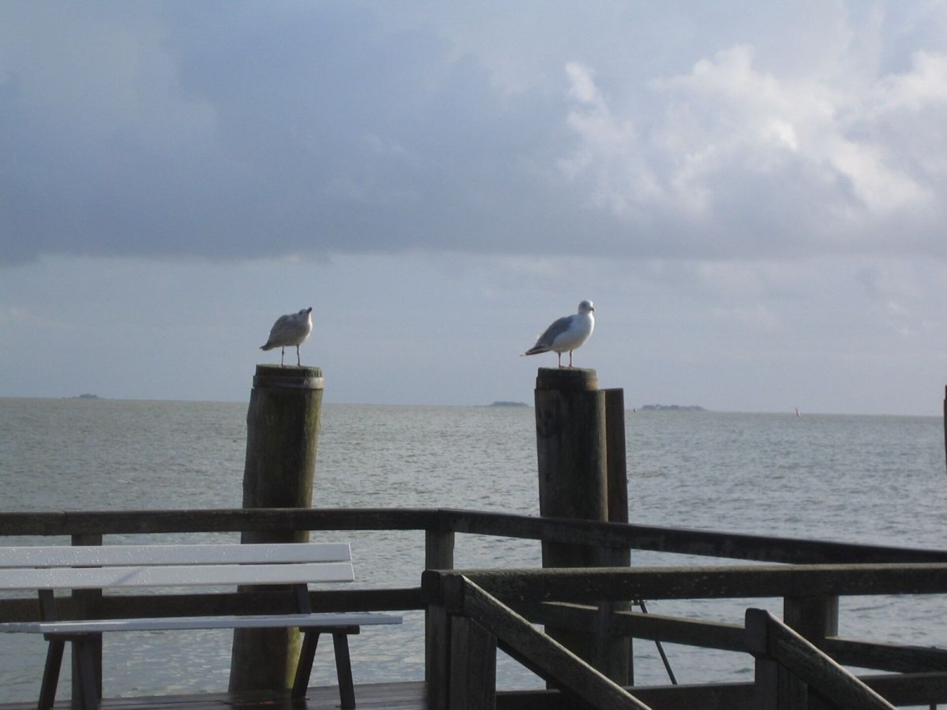 Licht appartement op Föhr, vlakbij strand en met speeltuin naast de deur - foto 18