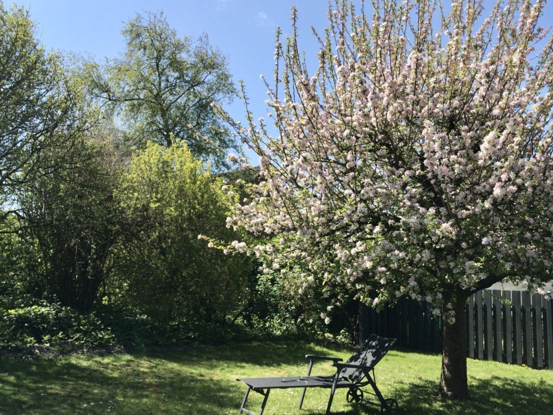 Vrijstaand vakantiehuis met grote tuin op 200m van centrum Nesse - foto 26