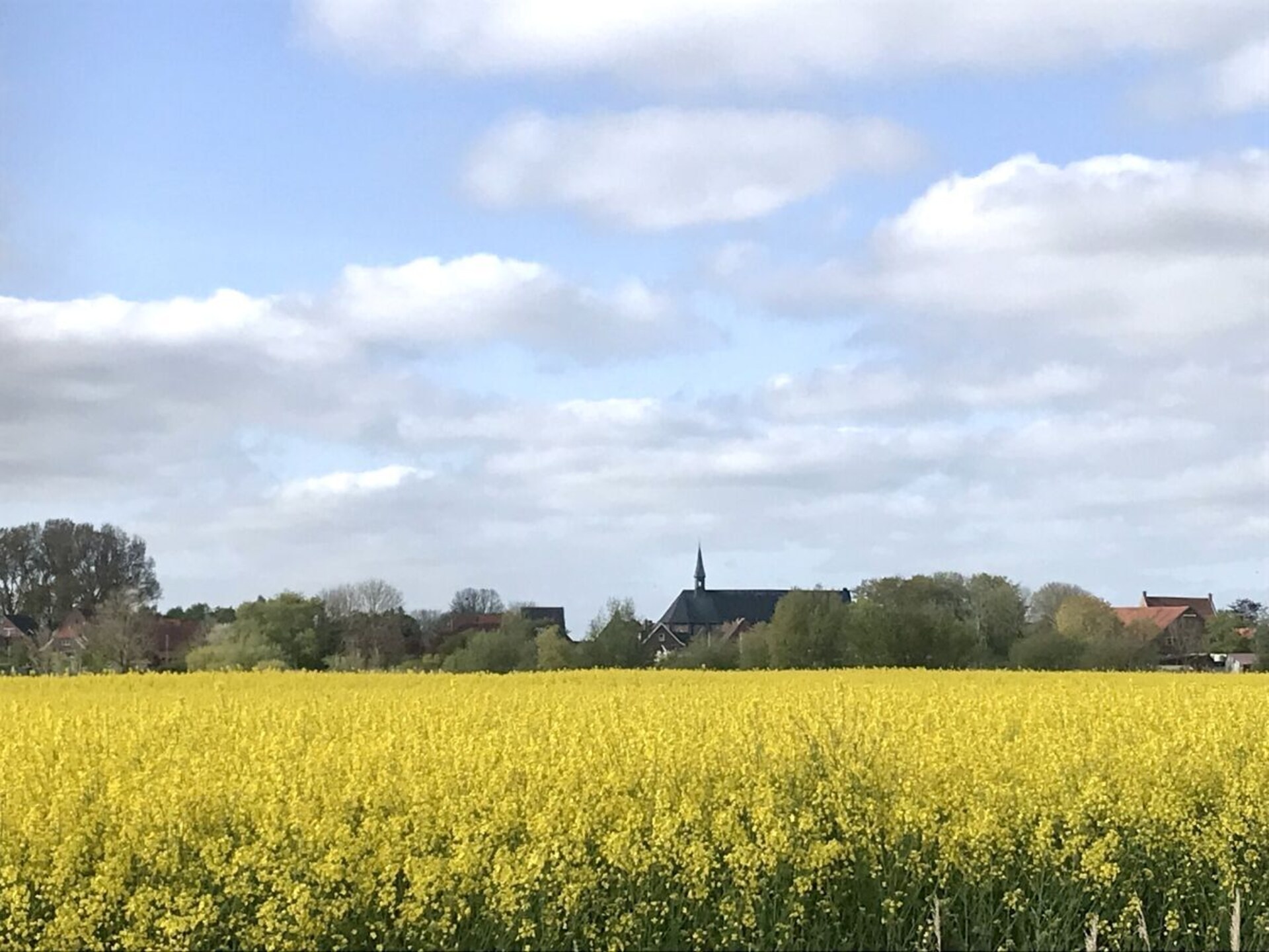 Vrijstaand vakantiehuis met grote tuin op 200m van centrum Nesse - foto 28