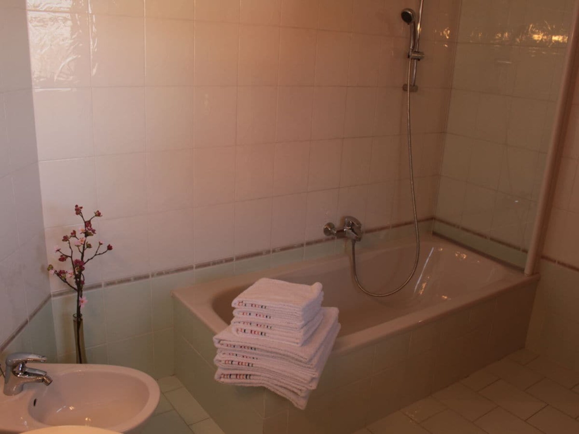 Ruim appartement met panoramisch Alpenzicht bij Eggelsberg - foto 18