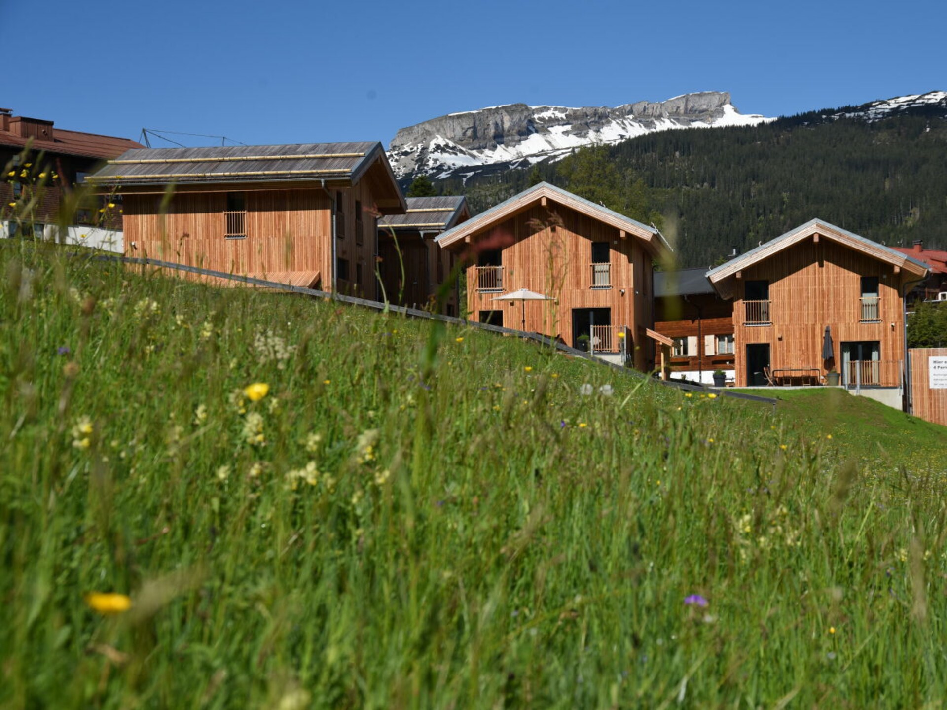 Aan de piste: Ruim vakantiehuis voor 8 personen in Hirschegg - foto 2