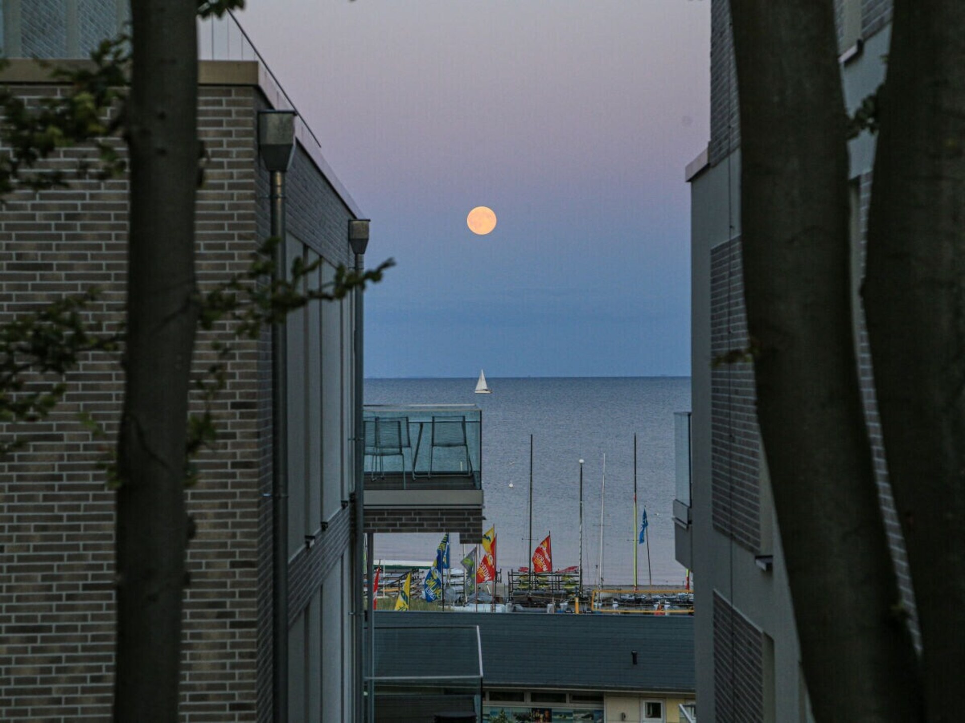 Licht appartement met panoramisch zeezicht op de jachthaven van Grömitz - foto 9