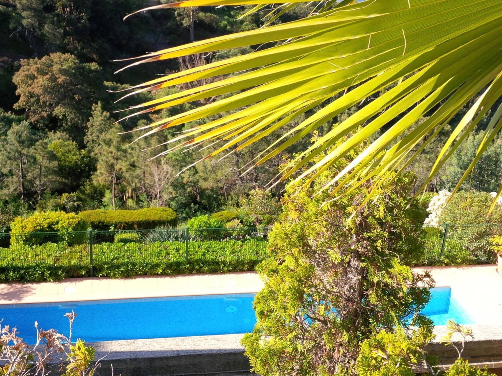 Luxe vakantiehuis met zeezicht en zwembad in Théoule-sur-Mer - foto 7
