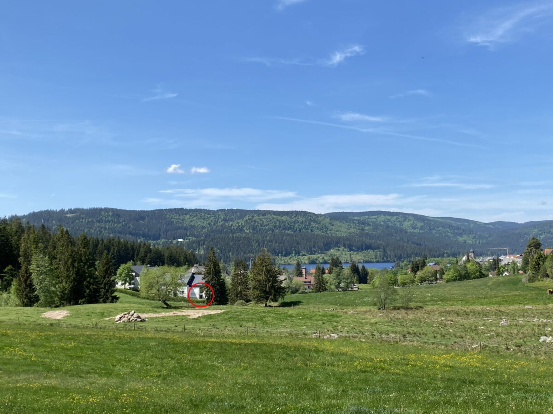Op 800m van het centrum: modern vakantiehuis in Schluchsee - foto 2