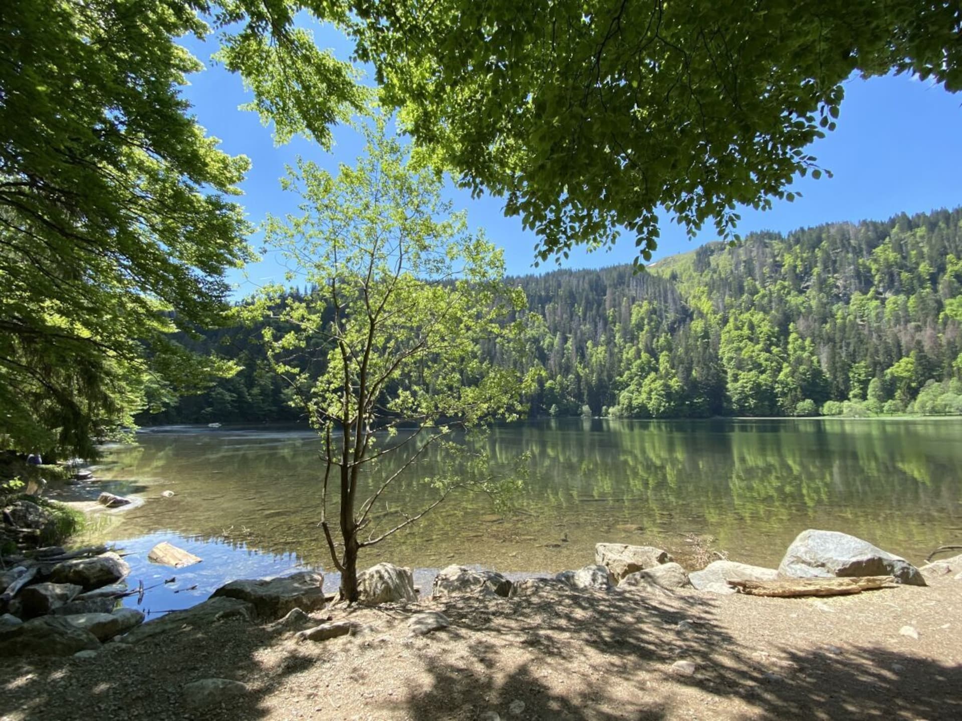 Op 800m van het centrum: modern vakantiehuis in Schluchsee - foto 27