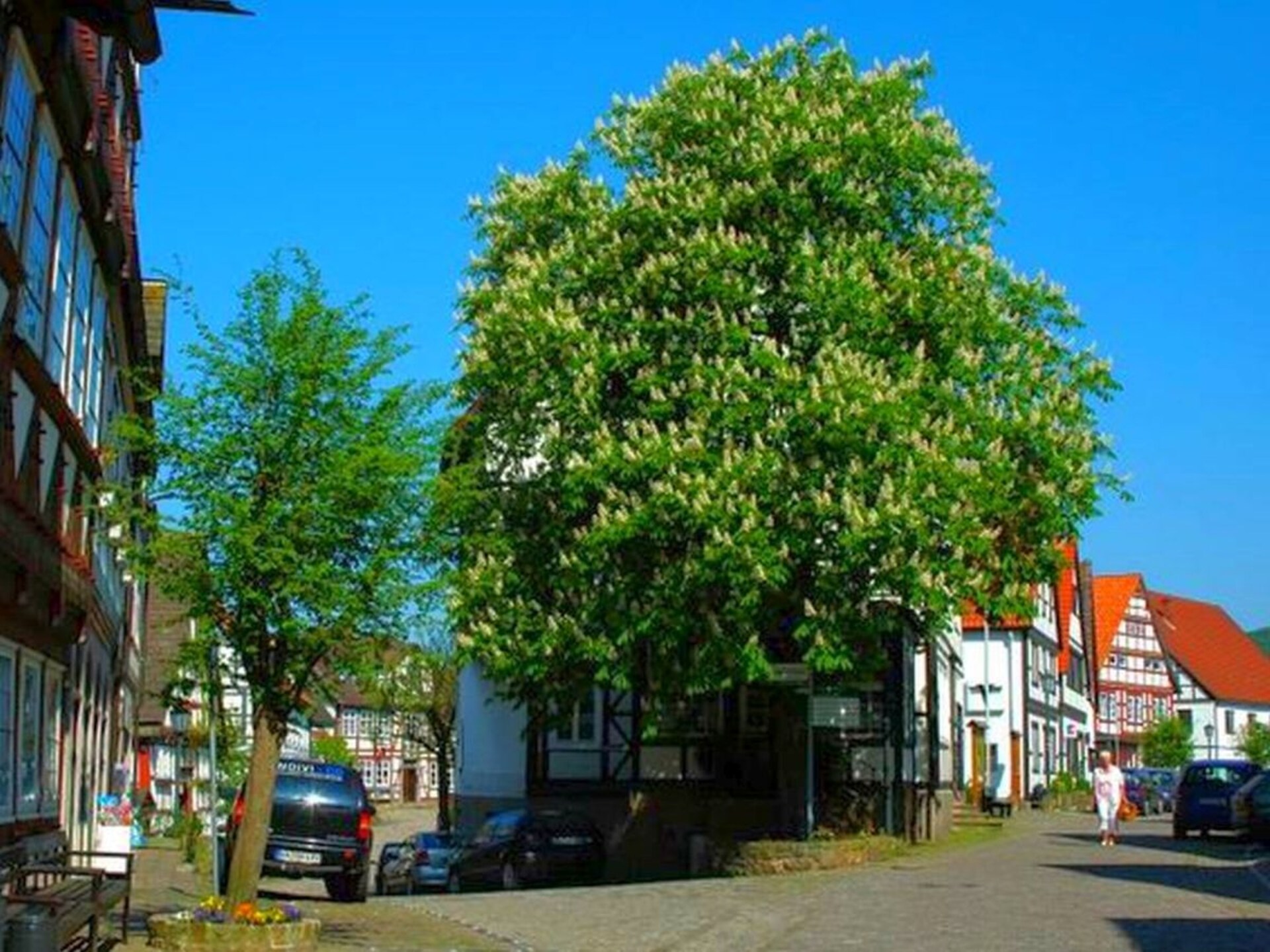 Gelijkvloers appartement met tuin en houtkachel in Schieder-Schwalenberg - foto 23