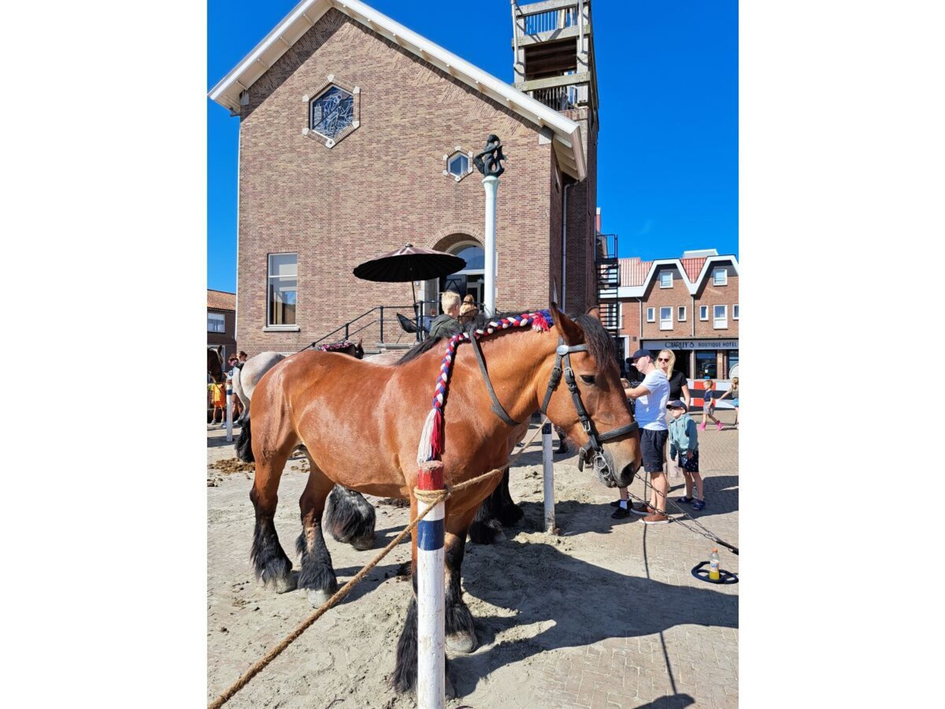 Duinhuisje Biggekerke: 5 persoons vakantiehuis vlakbij Zoutelande - foto 35