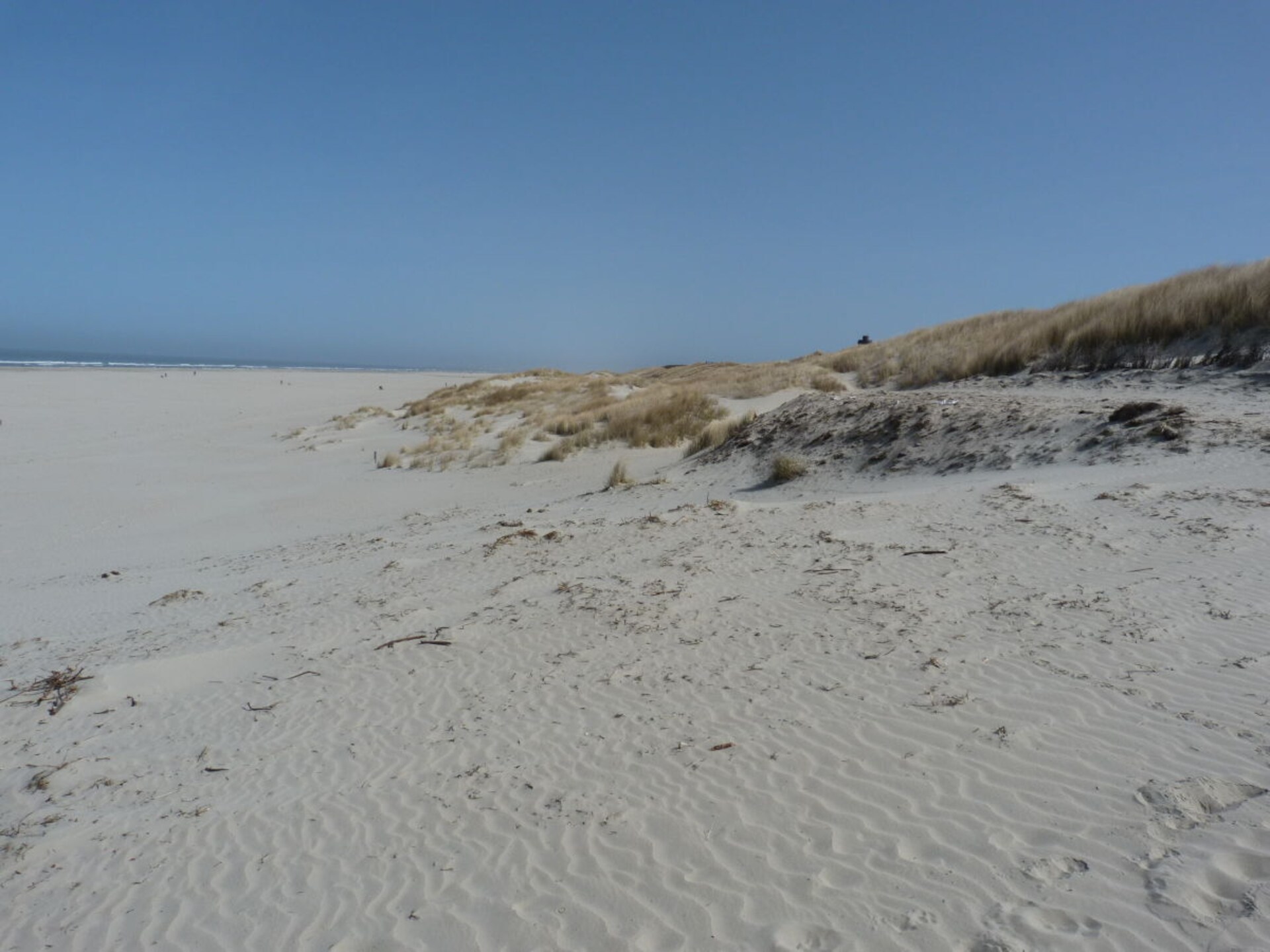 Knus appartement op Juist – 500 meter van het strand en centrum - foto 16