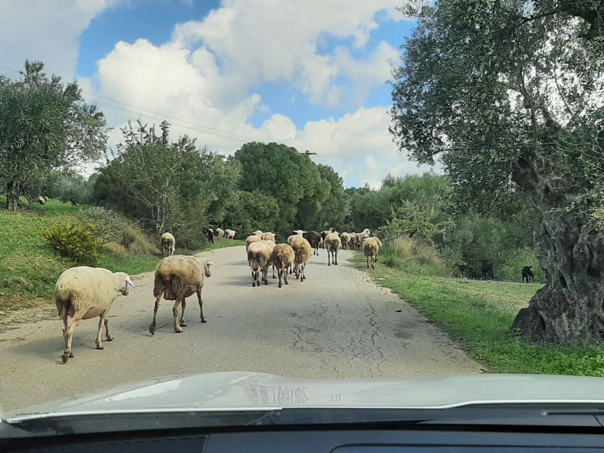 Vrijstaand vakantiehuis met panoramisch zeezicht nabij Messinia - foto 39