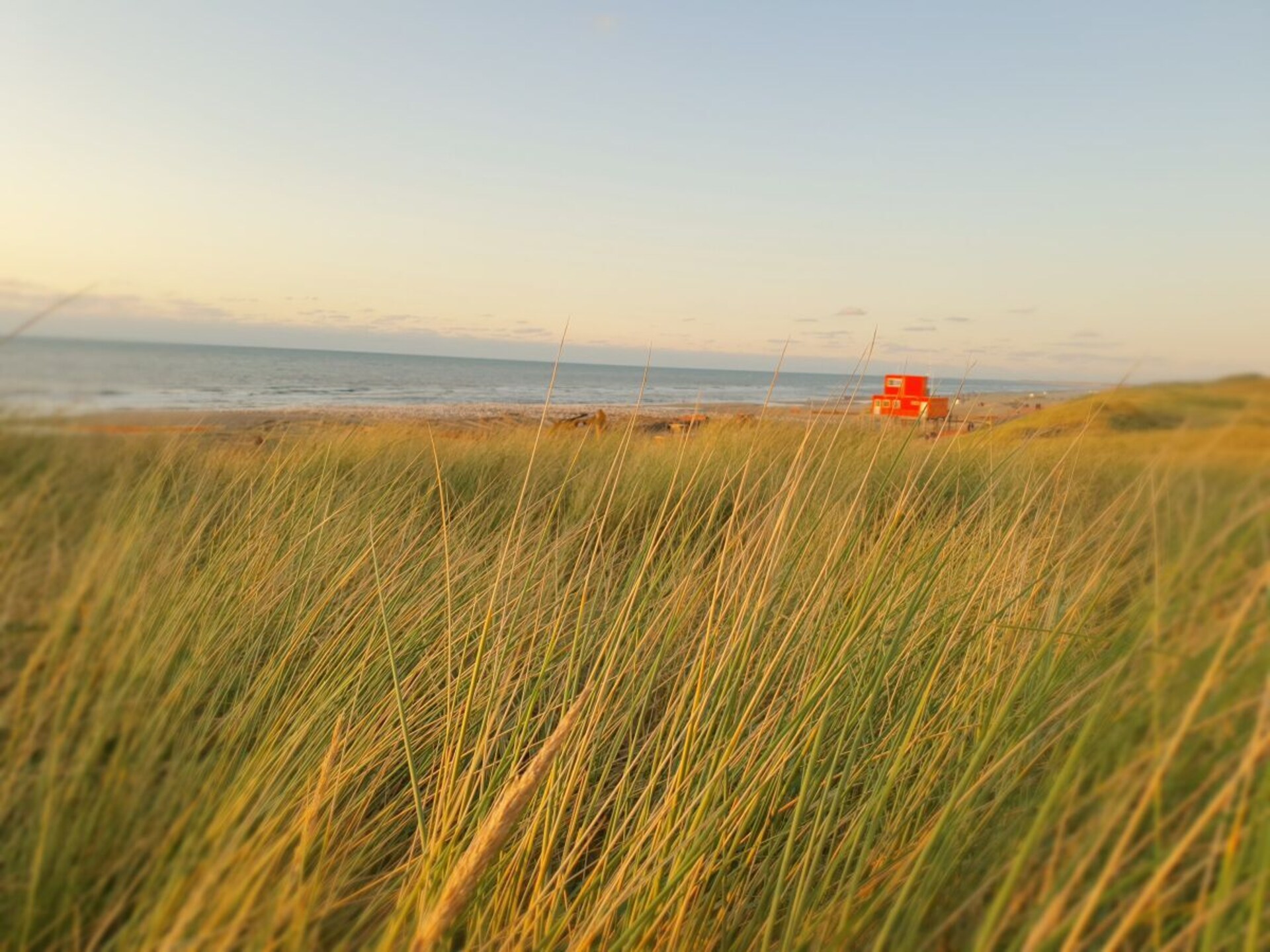 Knus vakantiehuis voor 5 personen met tuin, 900m van het strand in Callantsoog - foto 25