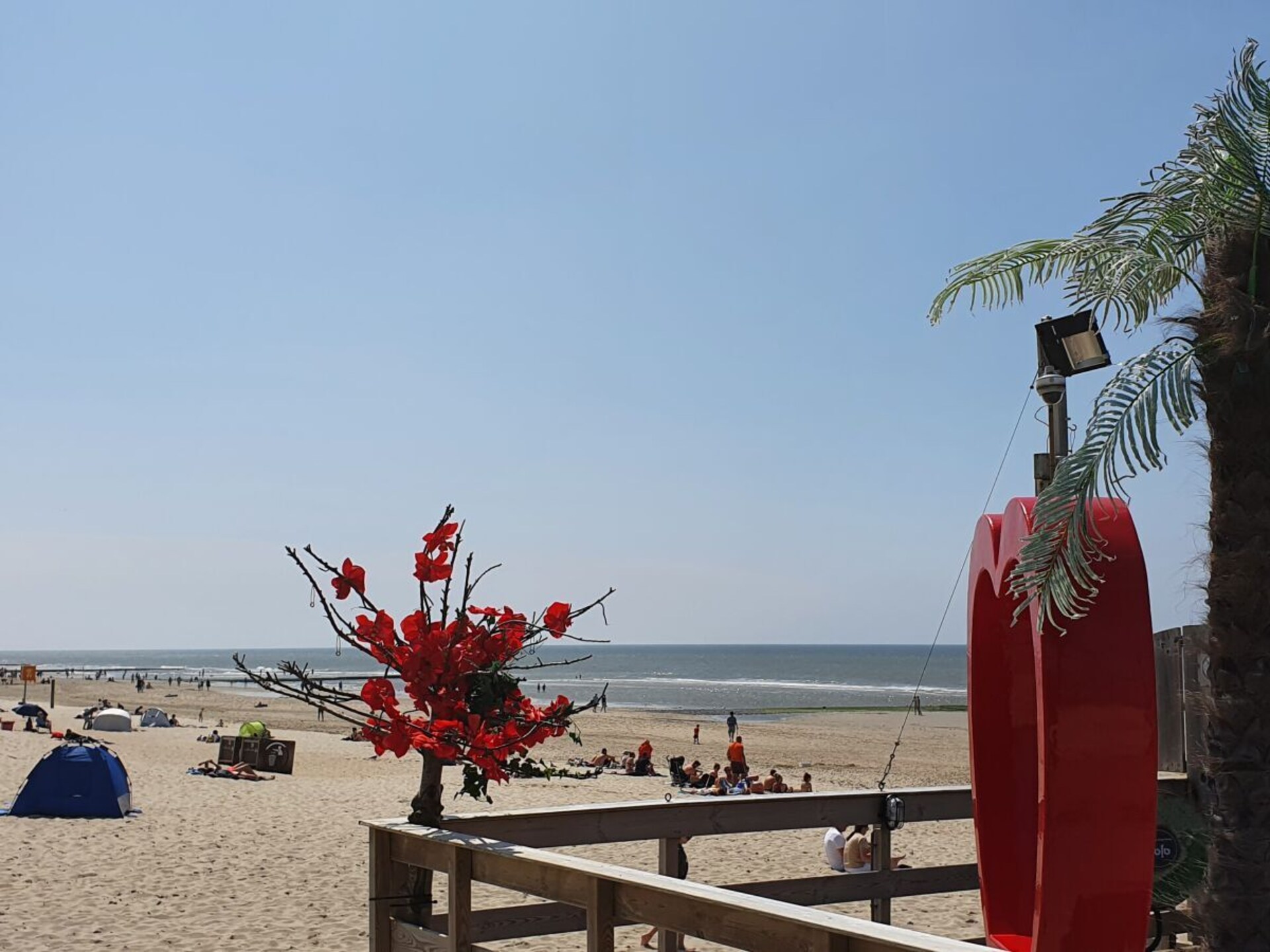 Knus vakantiehuis voor 5 personen met tuin, 900m van het strand in Callantsoog - foto 37