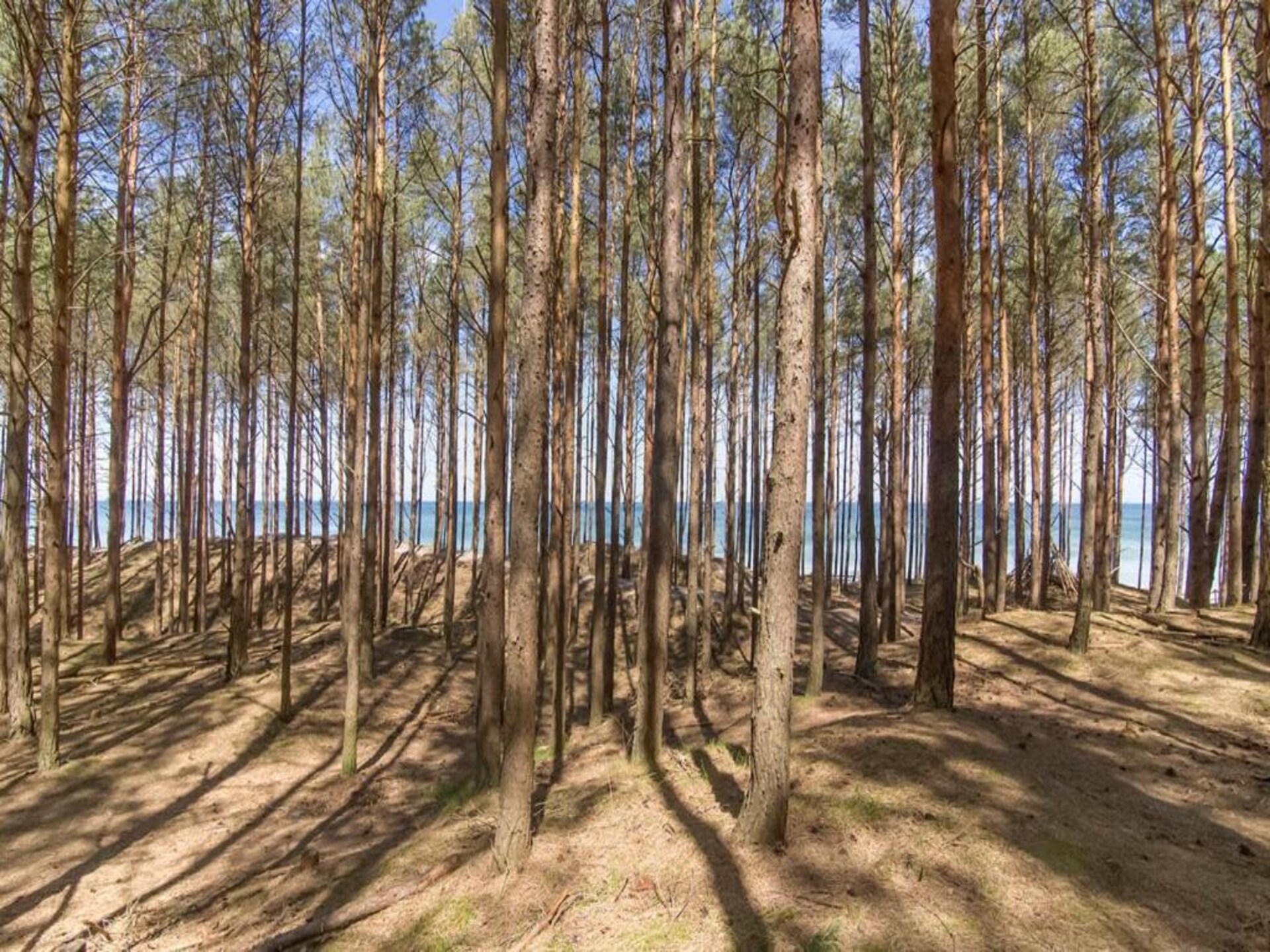 Rustgevend vakantiehuis in Lubiatowo nabij de Oostzee - foto 17