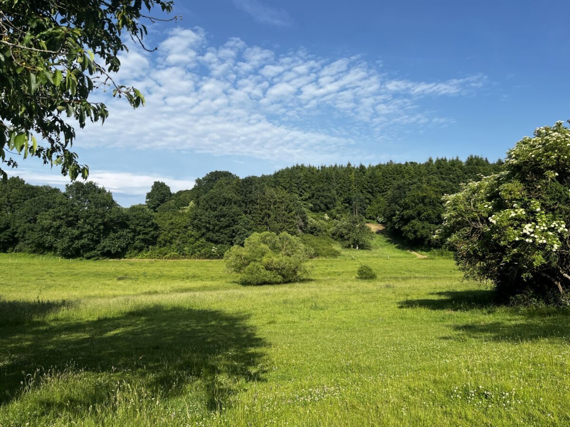 Modern vakantiehuis in Mehren met uitzicht over de Eifel-vallei - foto 37