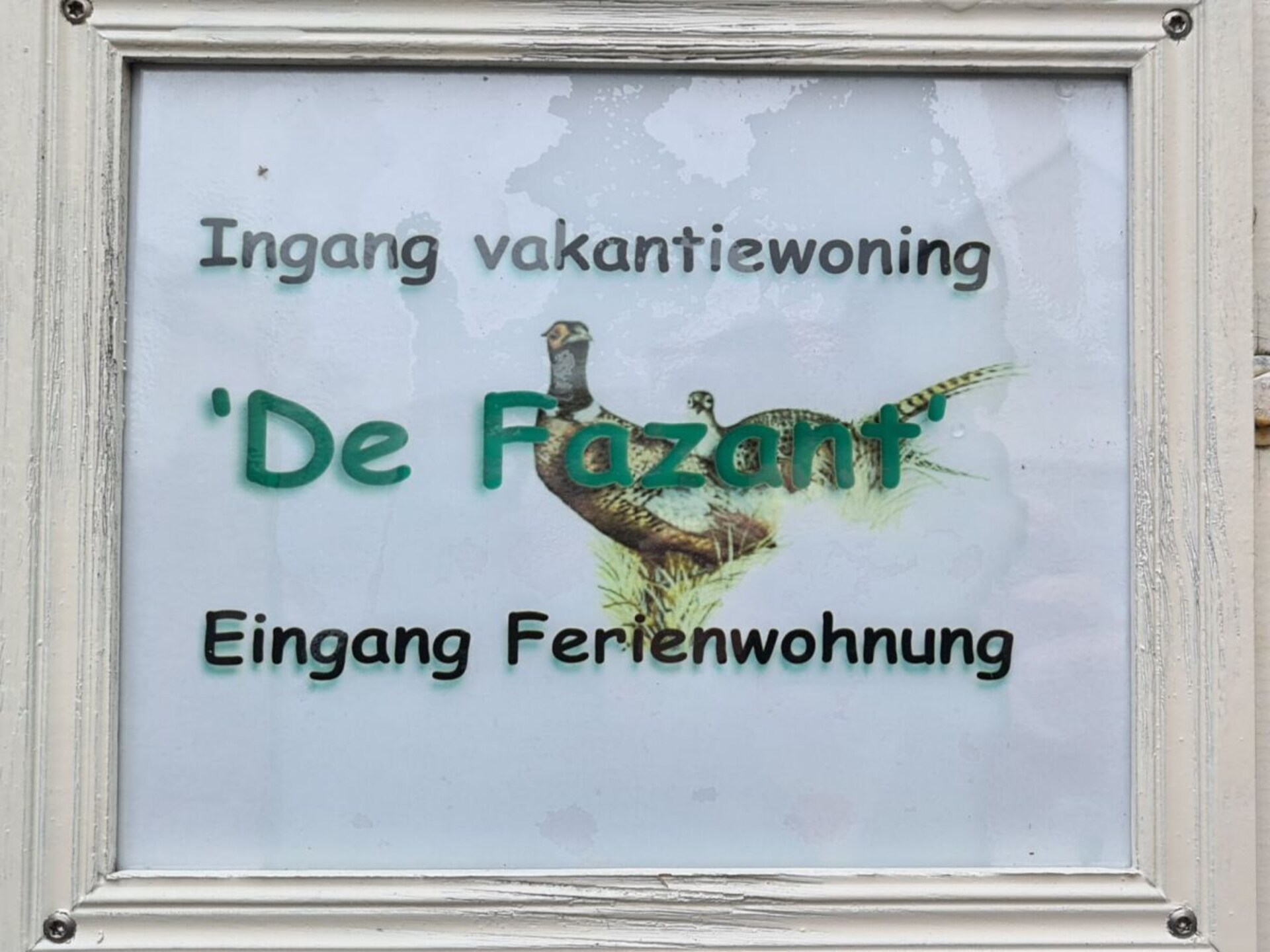 Knusse bungalow voor 2 met privétuin en fietsen, vlakbij strand en dorp - foto 16