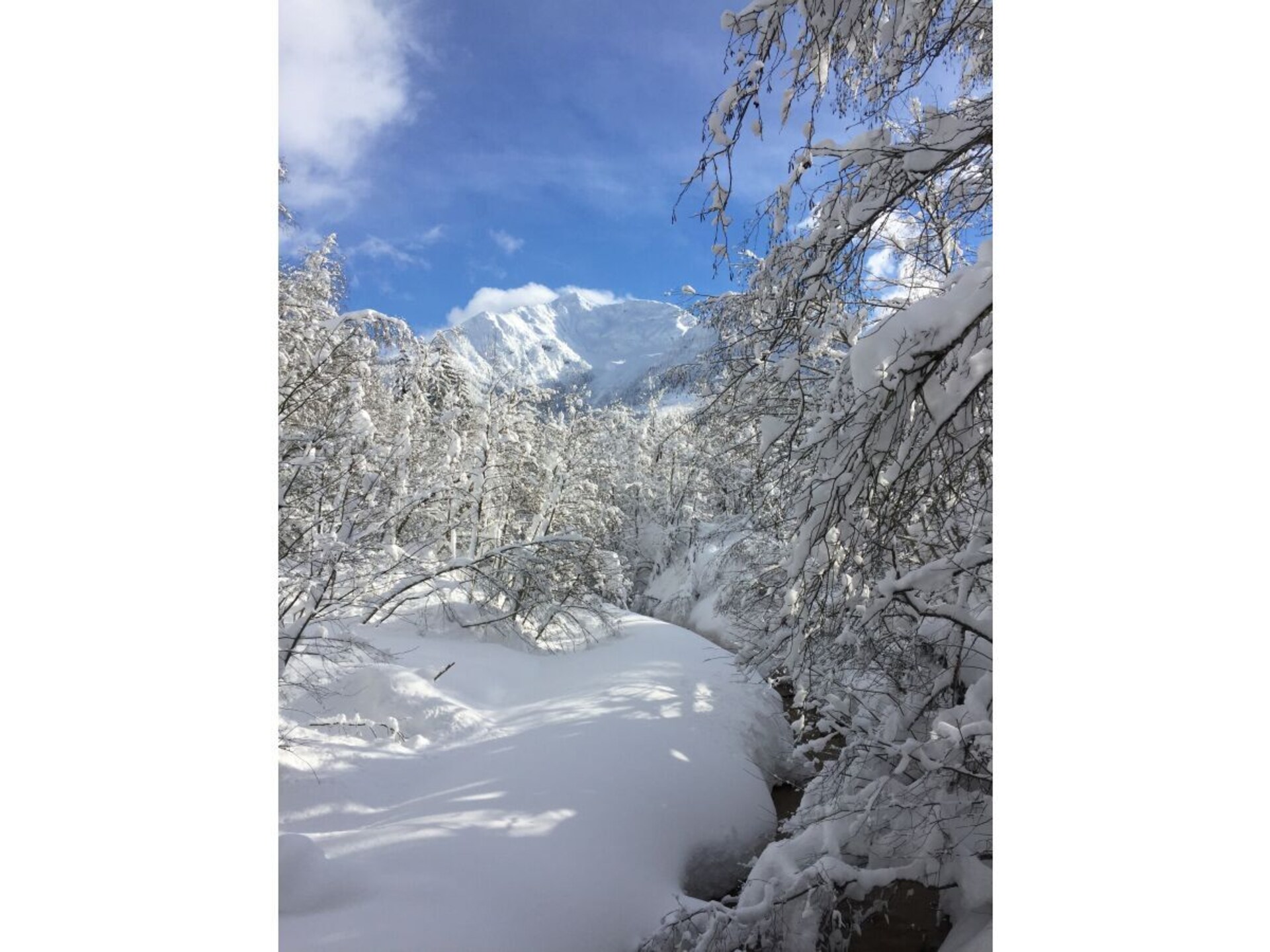 Vakantiehuis in Fieberbrunn op 500 m van de piste - foto 34