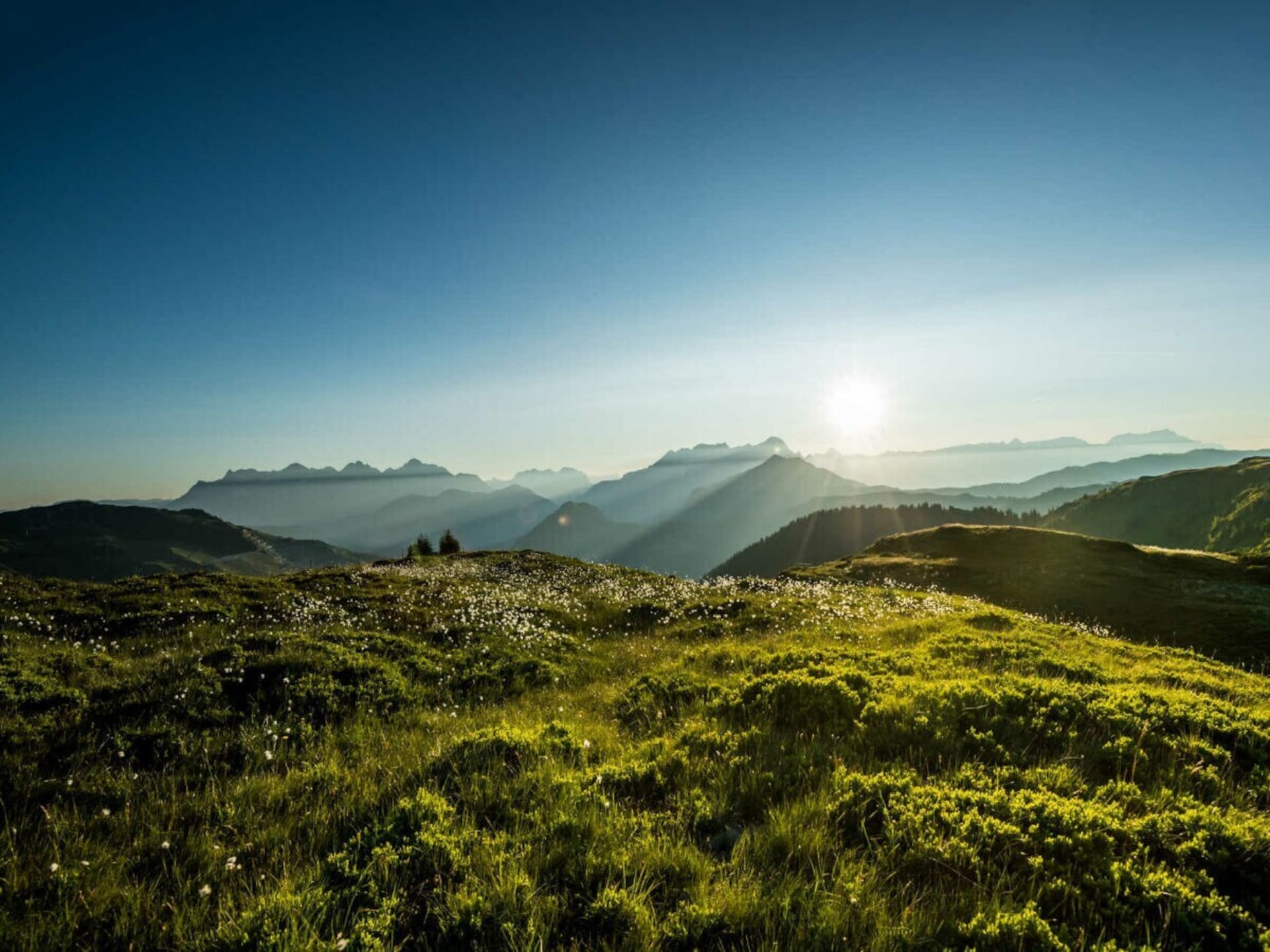 Vakantiehuis in Fieberbrunn op 500 m van de piste - foto 35