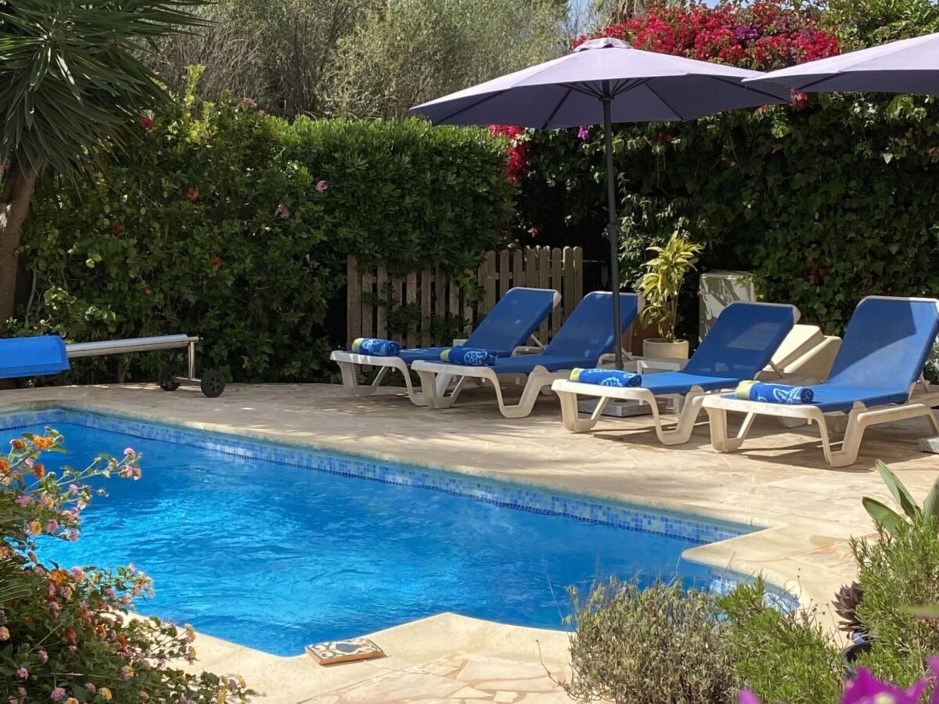 Gerenoveerd vakantiehuis met privézwembad en zeezicht in Porto Petro - foto 9