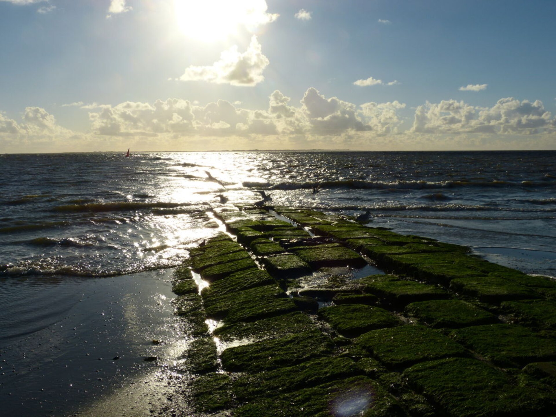 Knus appartement op Norderney, vlakbij het Noordzeestrand - foto 17
