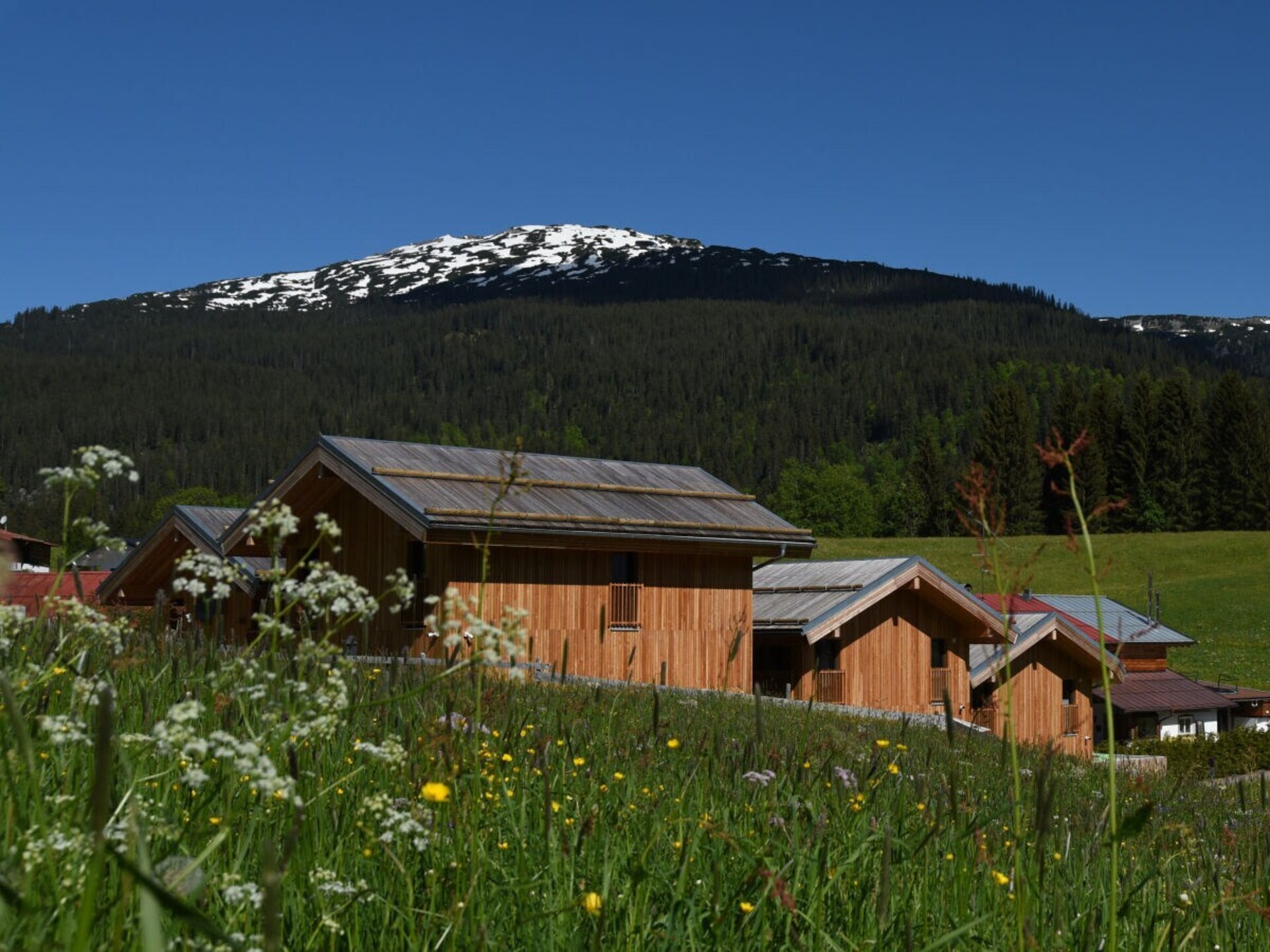 Villa Heuberg in Hirschegg: 100 meter van de piste met sauna - foto 9