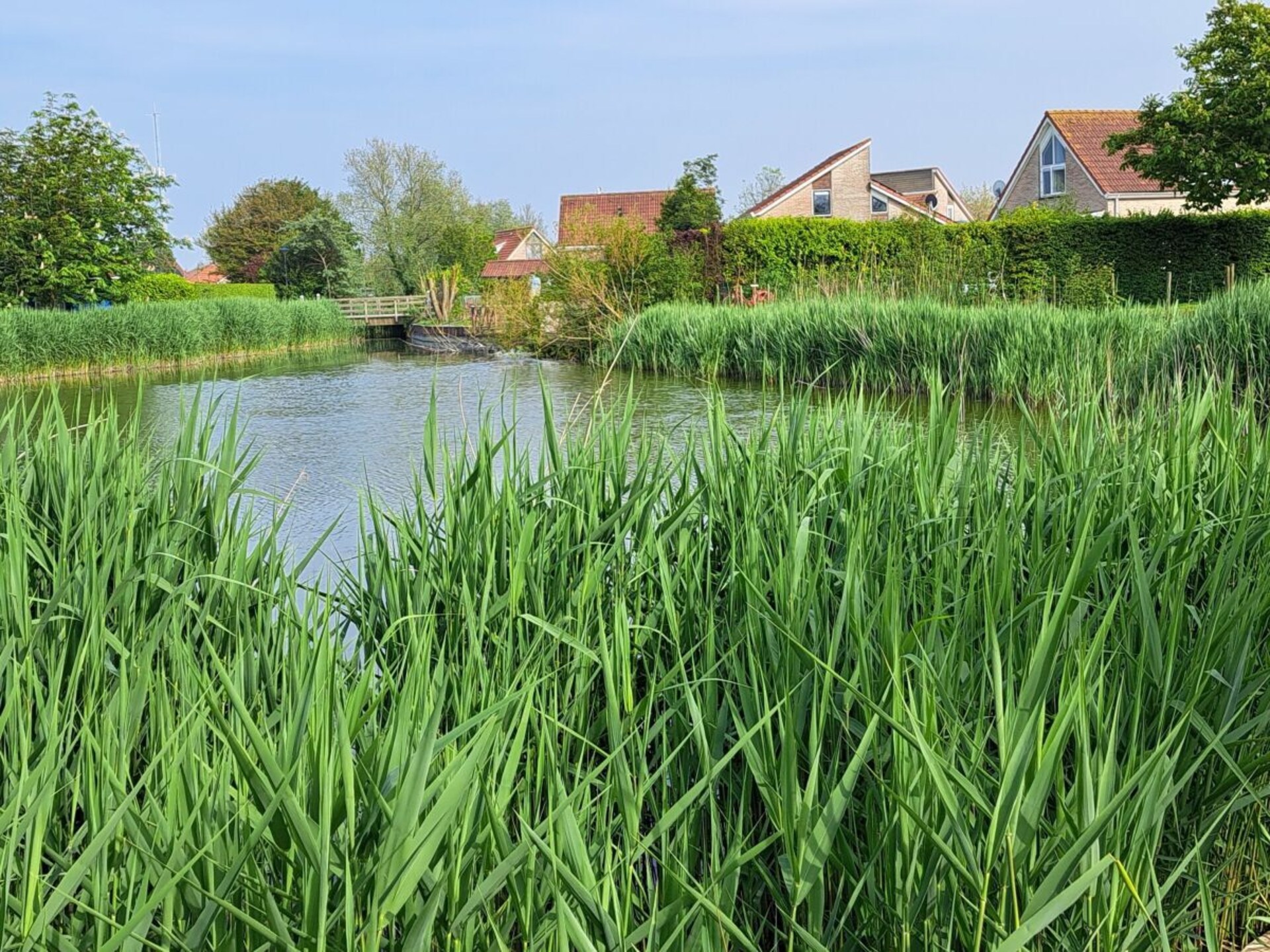 Rustiek vakantiehuis aan het water in Breskens, direct aan de Westerschelde - foto 13